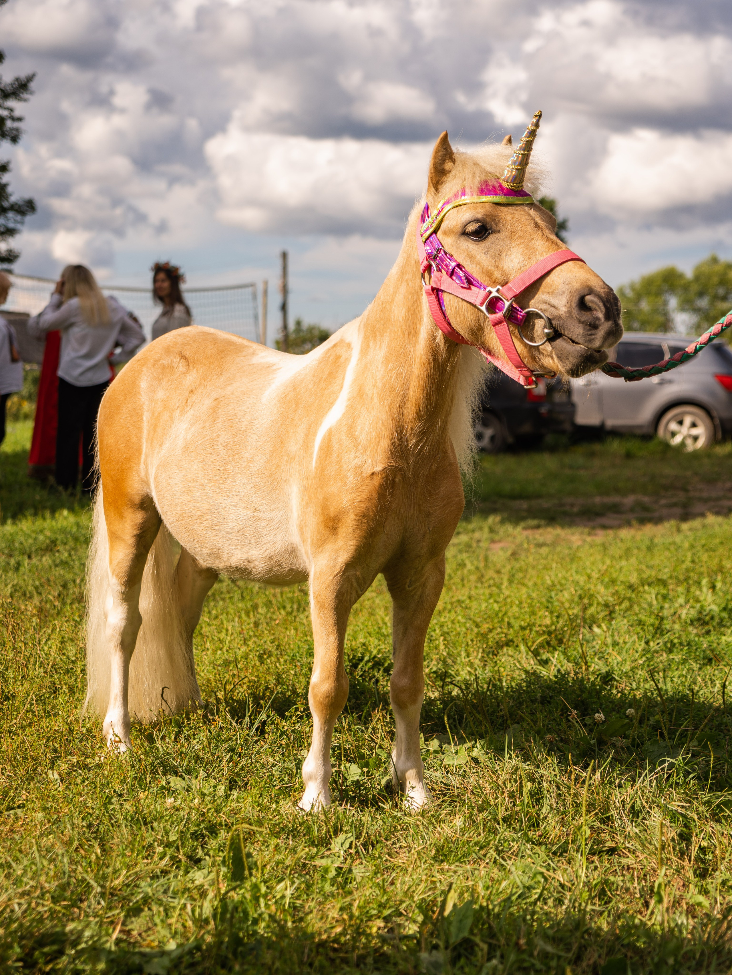 День села Новосёлка. Фотограф Москва