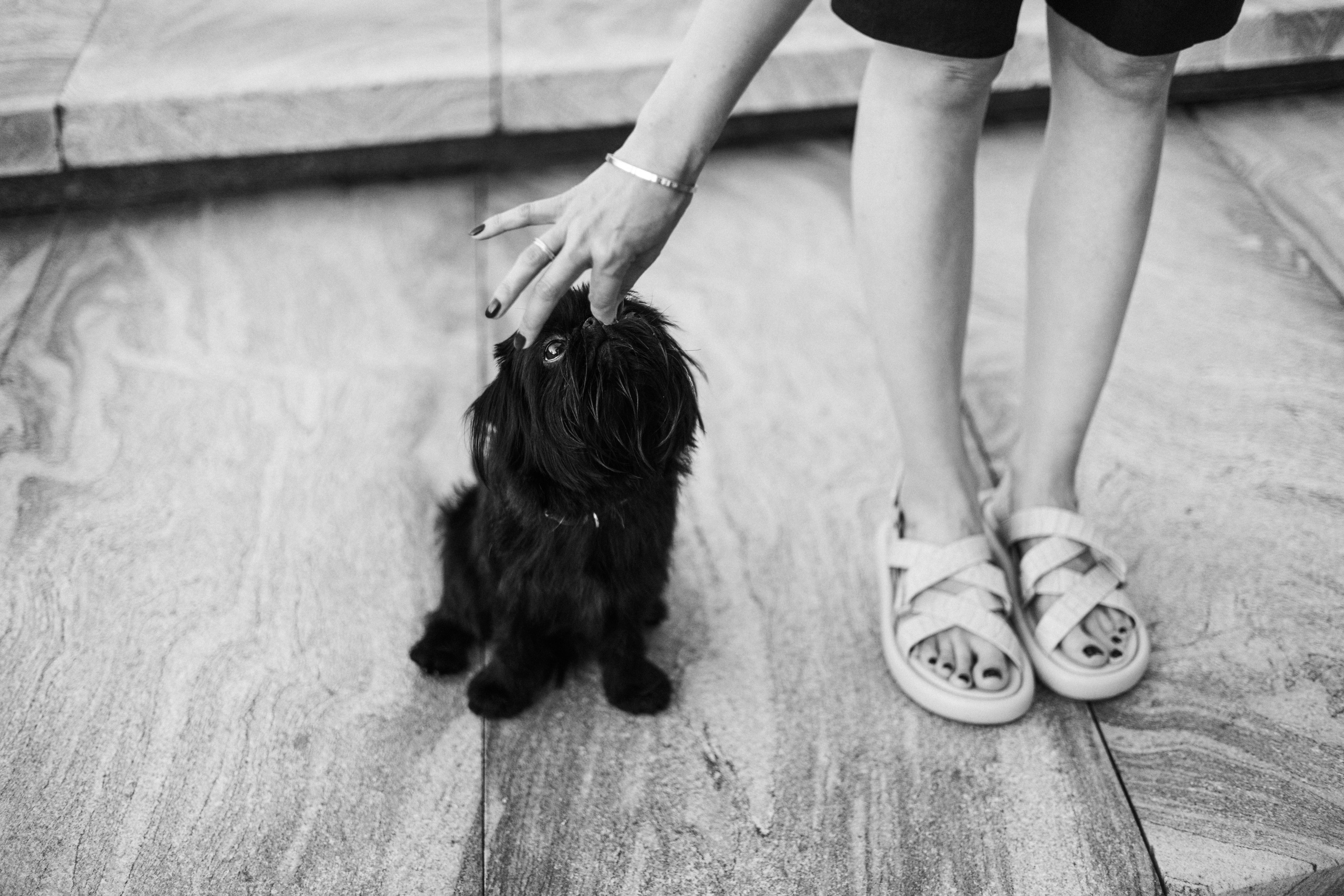 Ася и Кузя. Фотограф анималист Осипчикова Мария