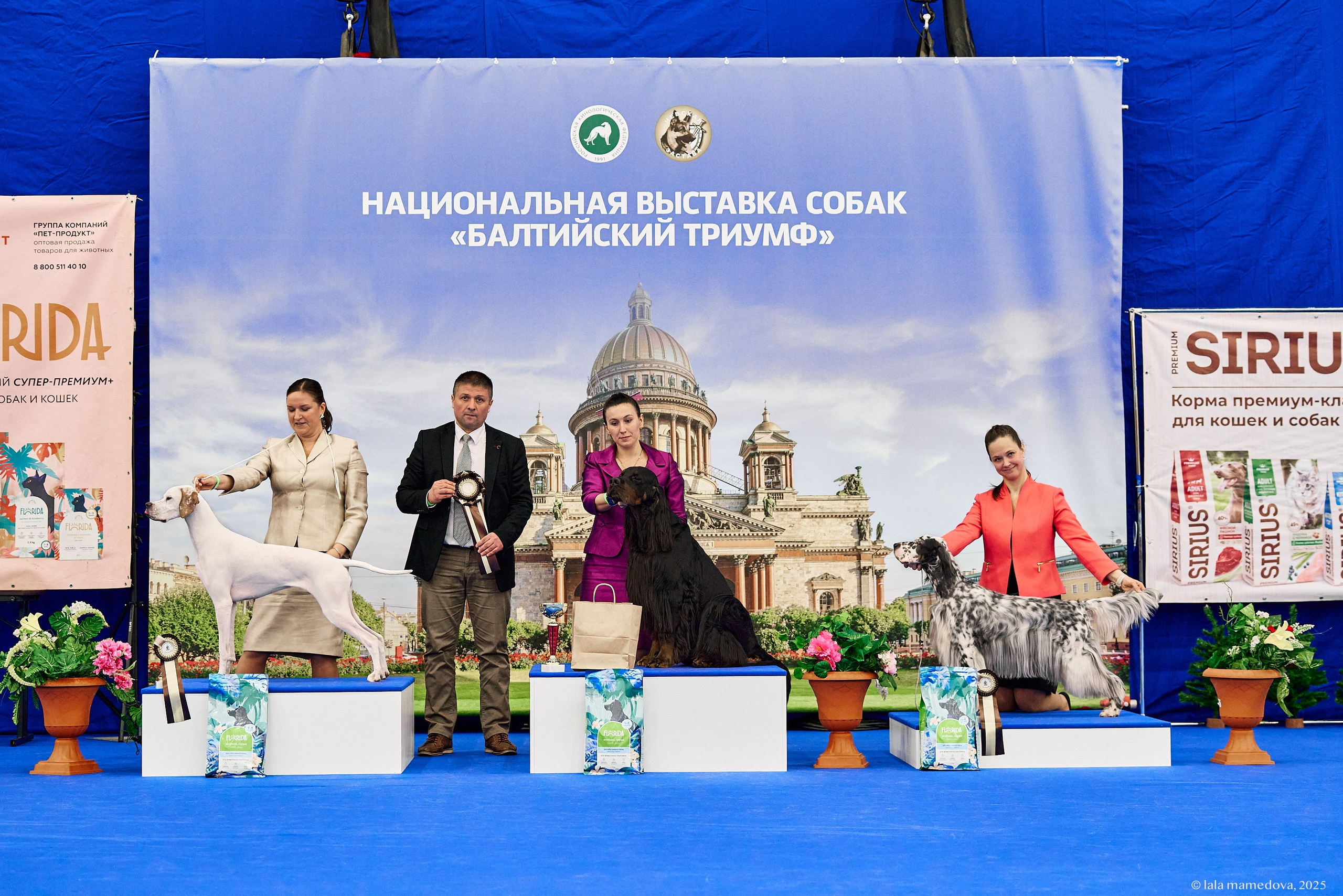 22-23 FEB 2025 | NATIONAL DOG SHOW «BALTIC TRIUMPH-2025»