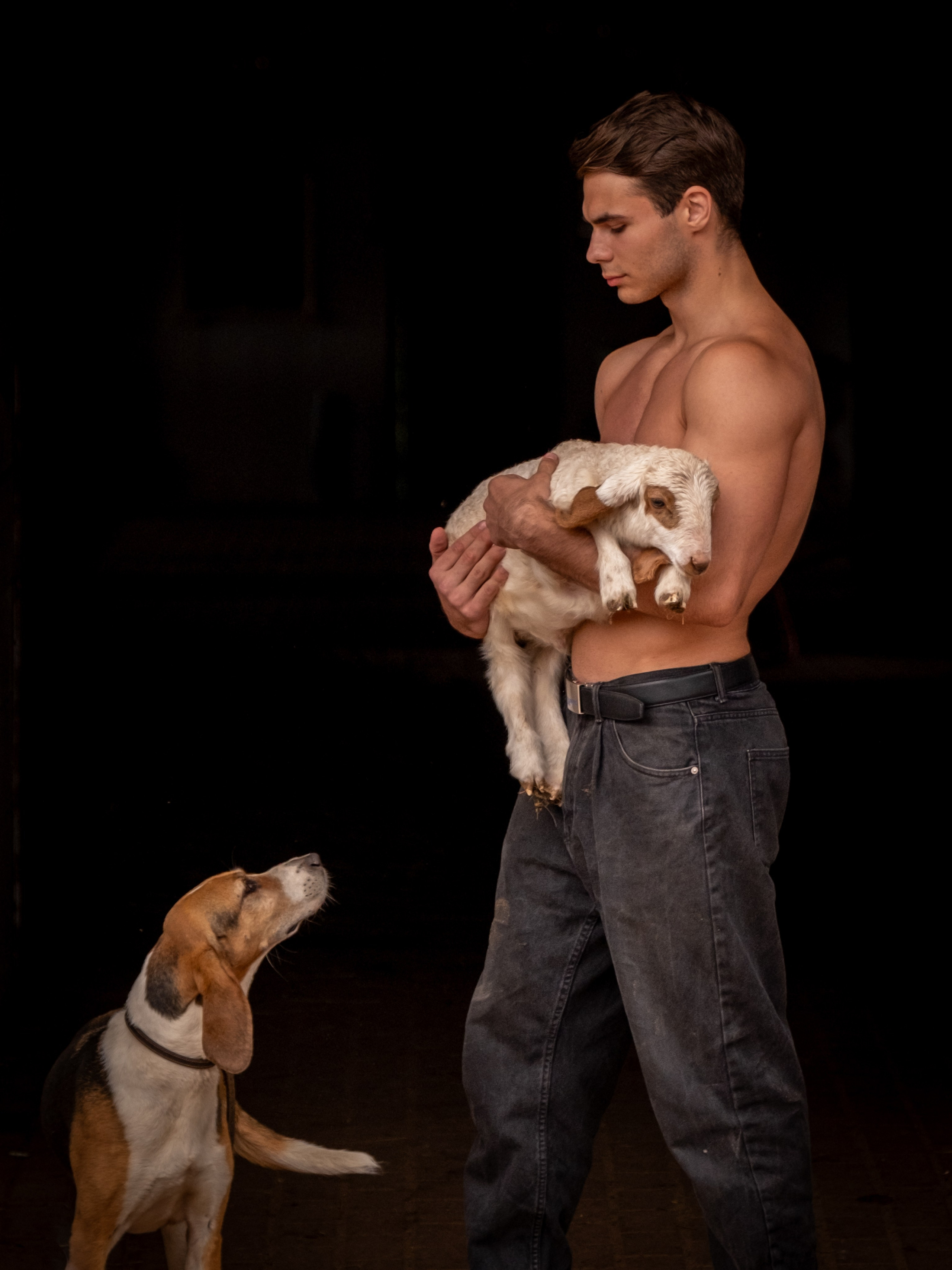 Люди и лошади!. Зоофотограф, фотограф животных в Москве и области Дина Дамоцева