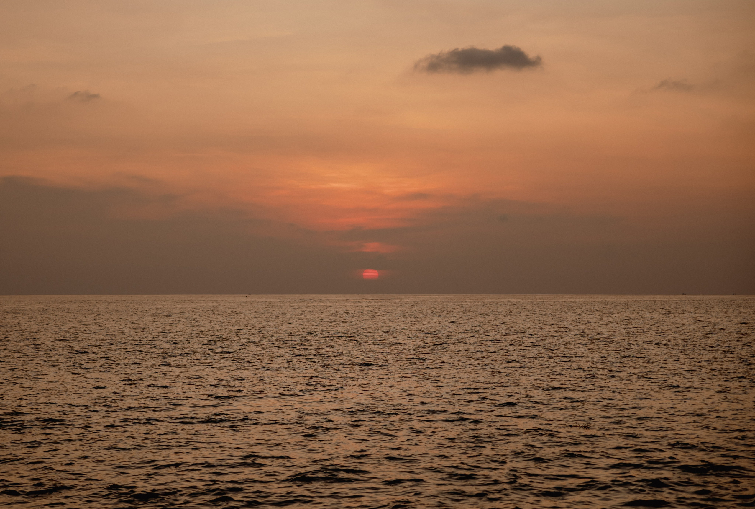 Дамир & Мадина. Свадебный фотограф Костанай/Астана