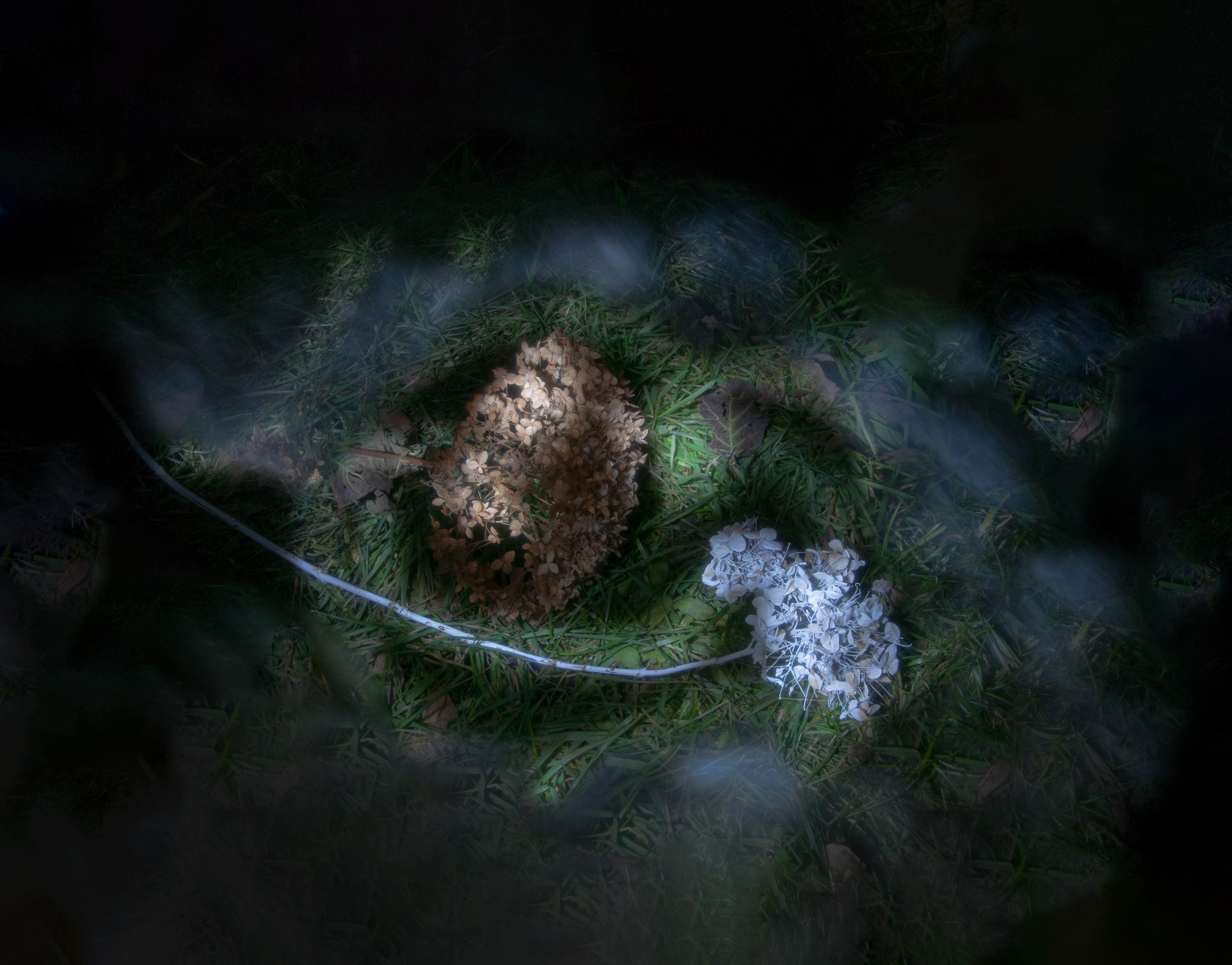 Творческие фотографии. Портретный фотограф в республике Алтай Юлия Шевченко