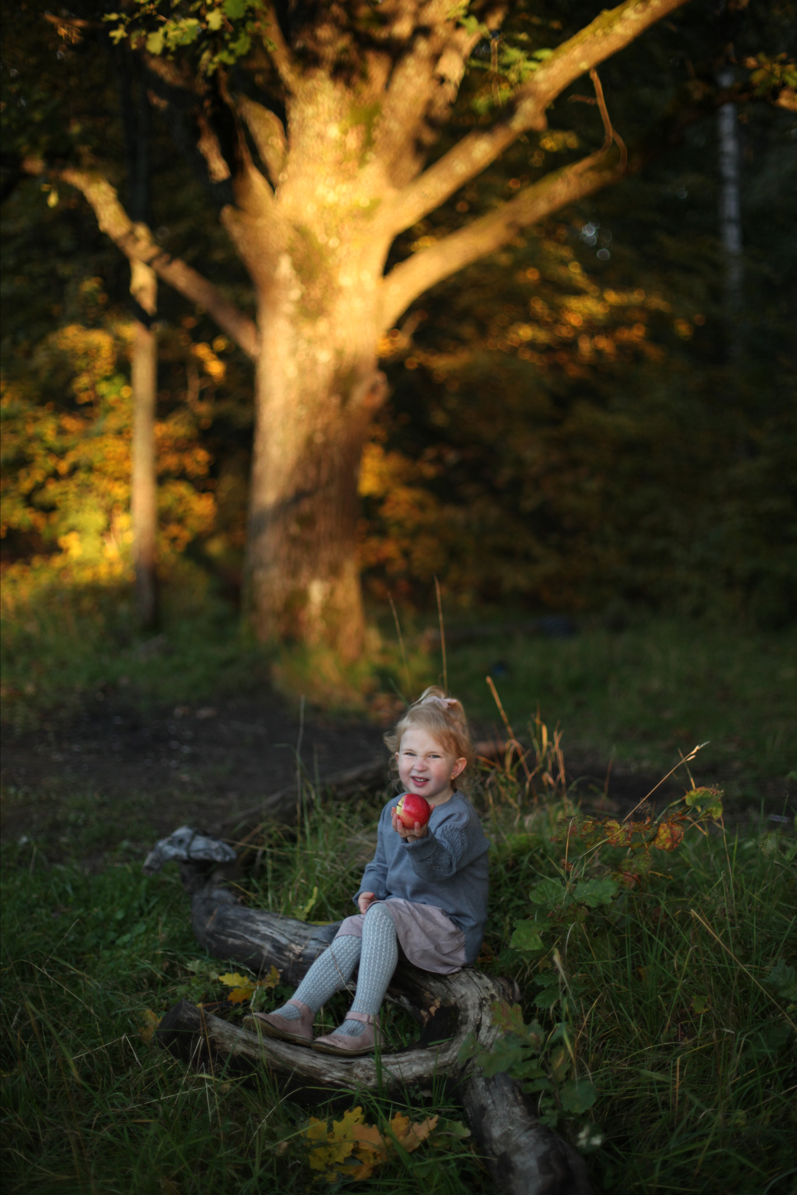 Семья сентябрь. Семейный и детский фотограф во Всеволосжке Людмила Квасова
