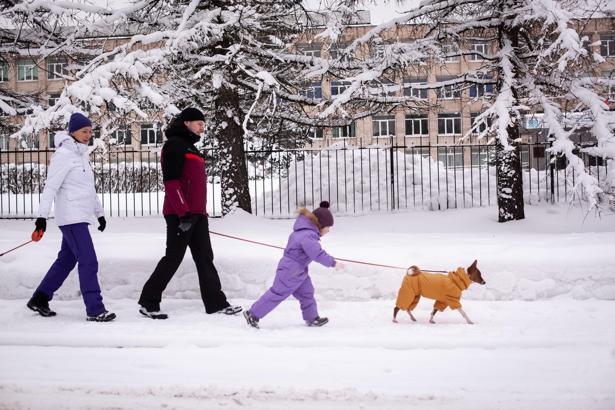 Зимняя фотопрогулка. Семейный и детский фотограф во Всеволосжке Людмила Квасова