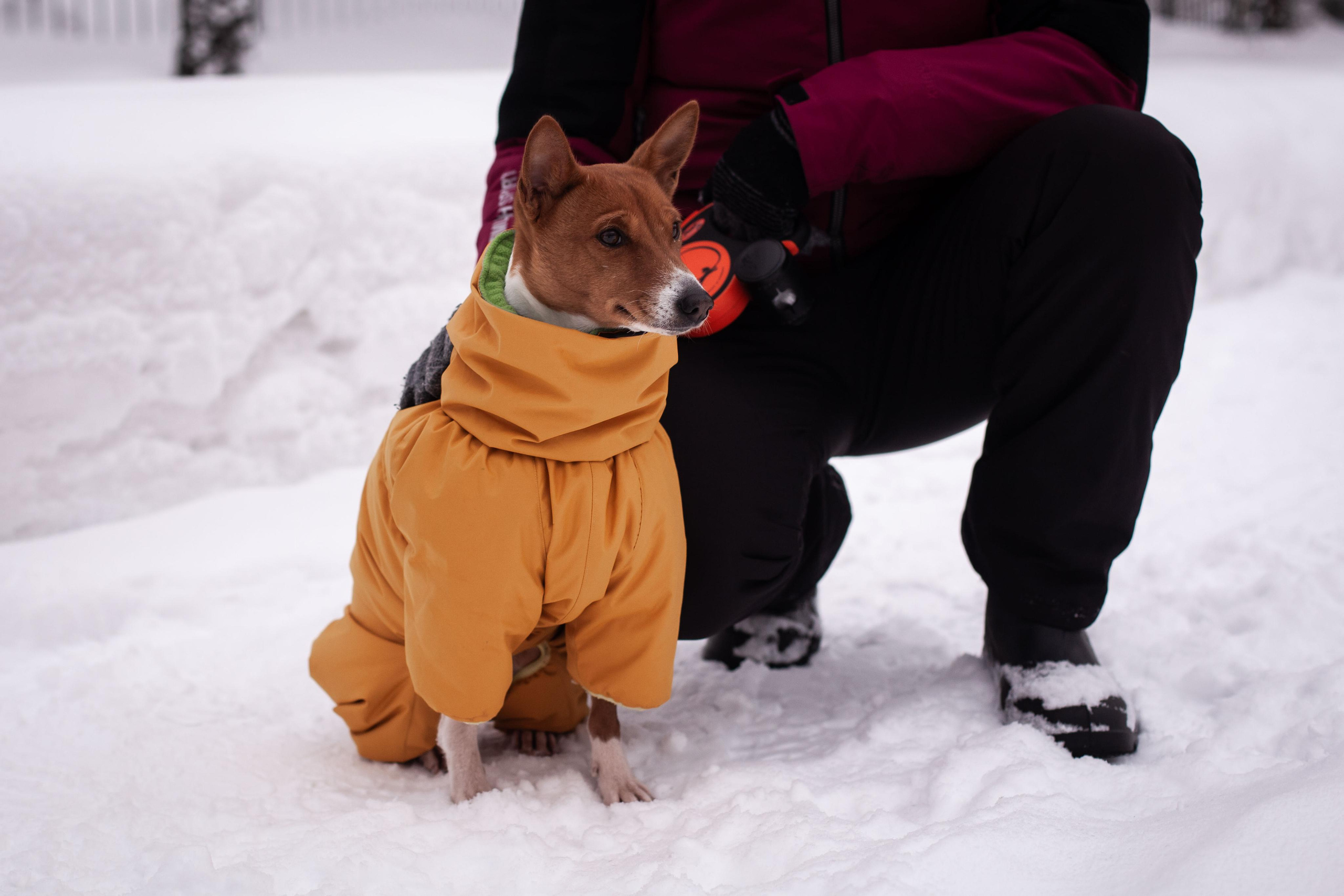 Зимняя фотопрогулка. Семейный и детский фотограф во Всеволосжке Людмила Квасова