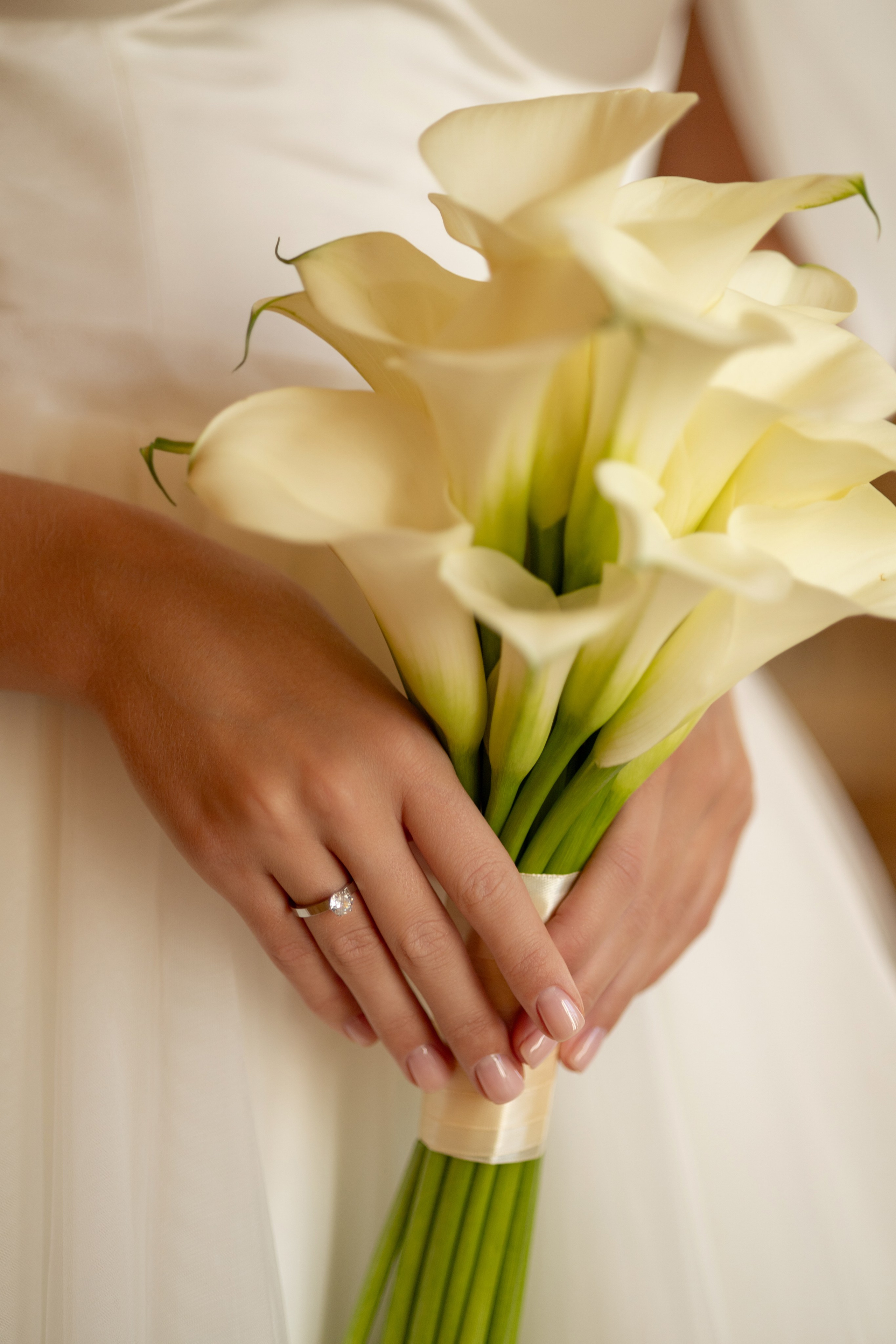 Свадьба в Эрмитаже. Семейный и портретный фотограф в Геленджике Любовь Бодрова