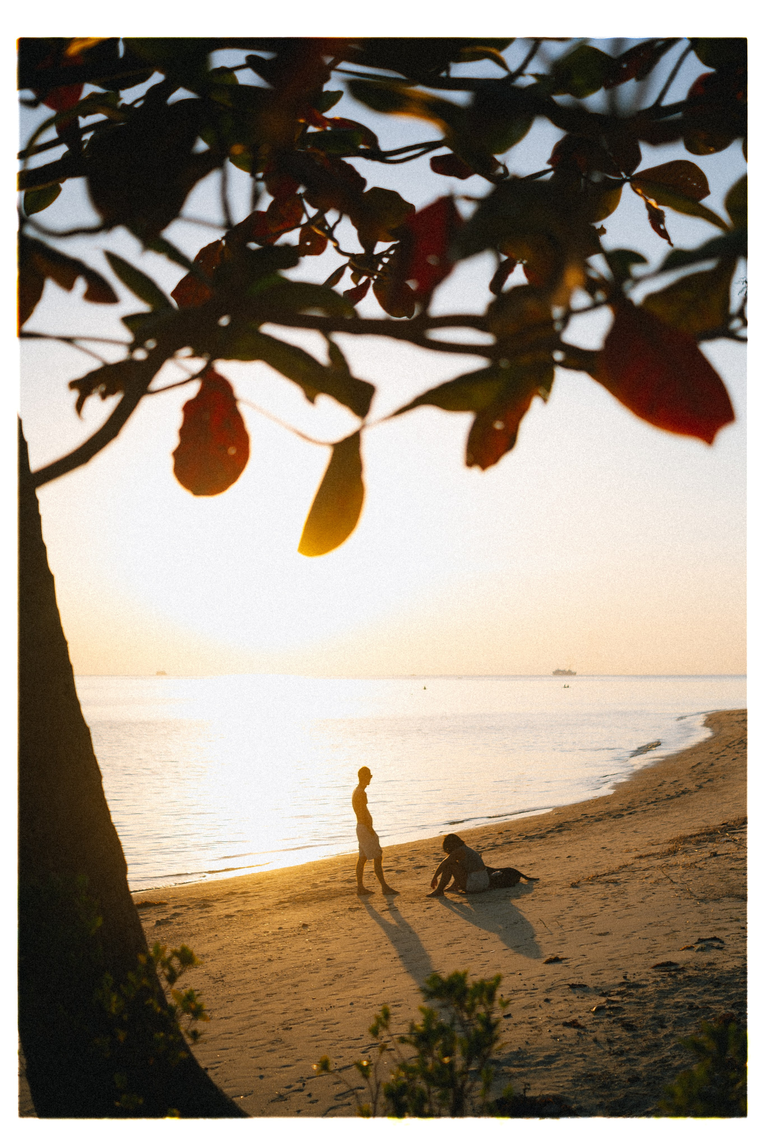 PAHNGAN 26. Свадебный и семейный фотограф Никита Корохов