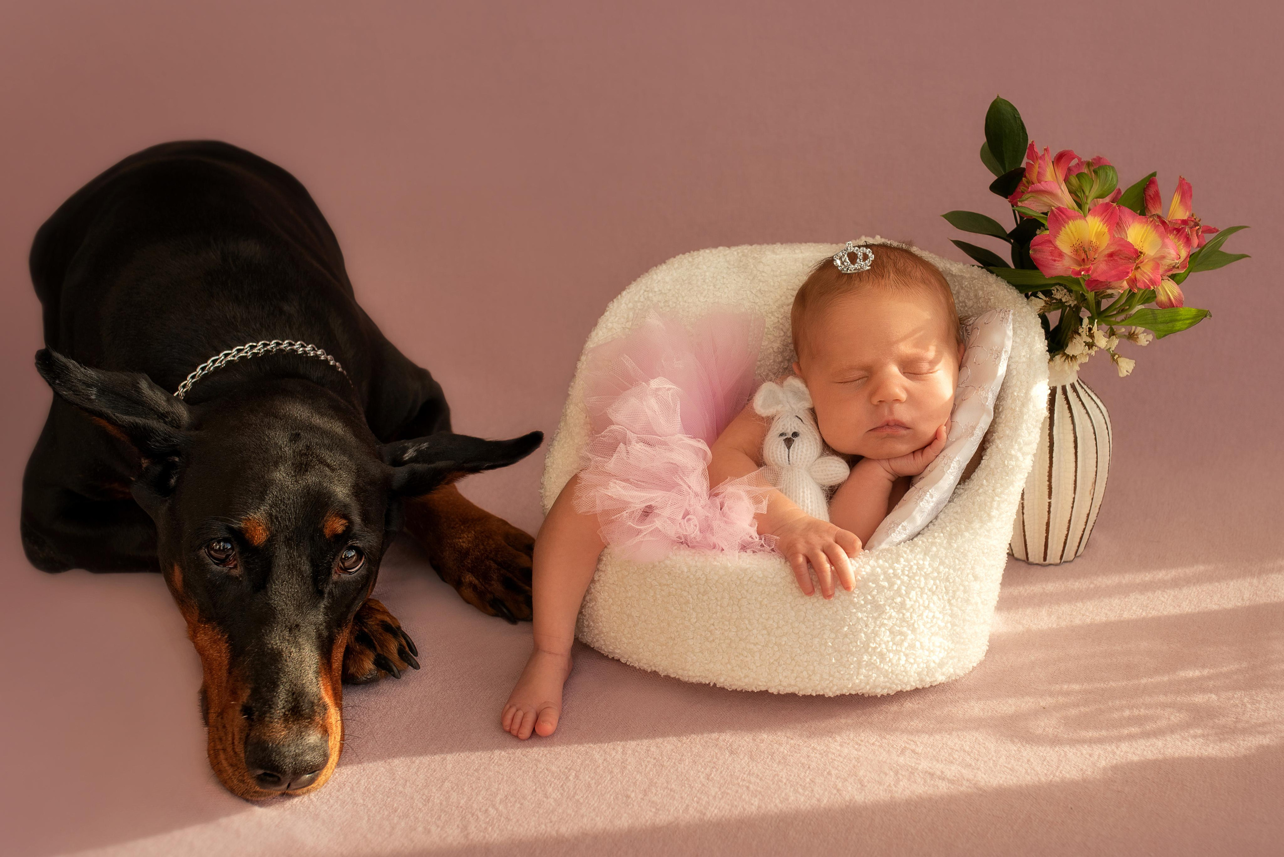 Ангелина. Фотограф новорожденных в Екатеринбурге Лена Ильина