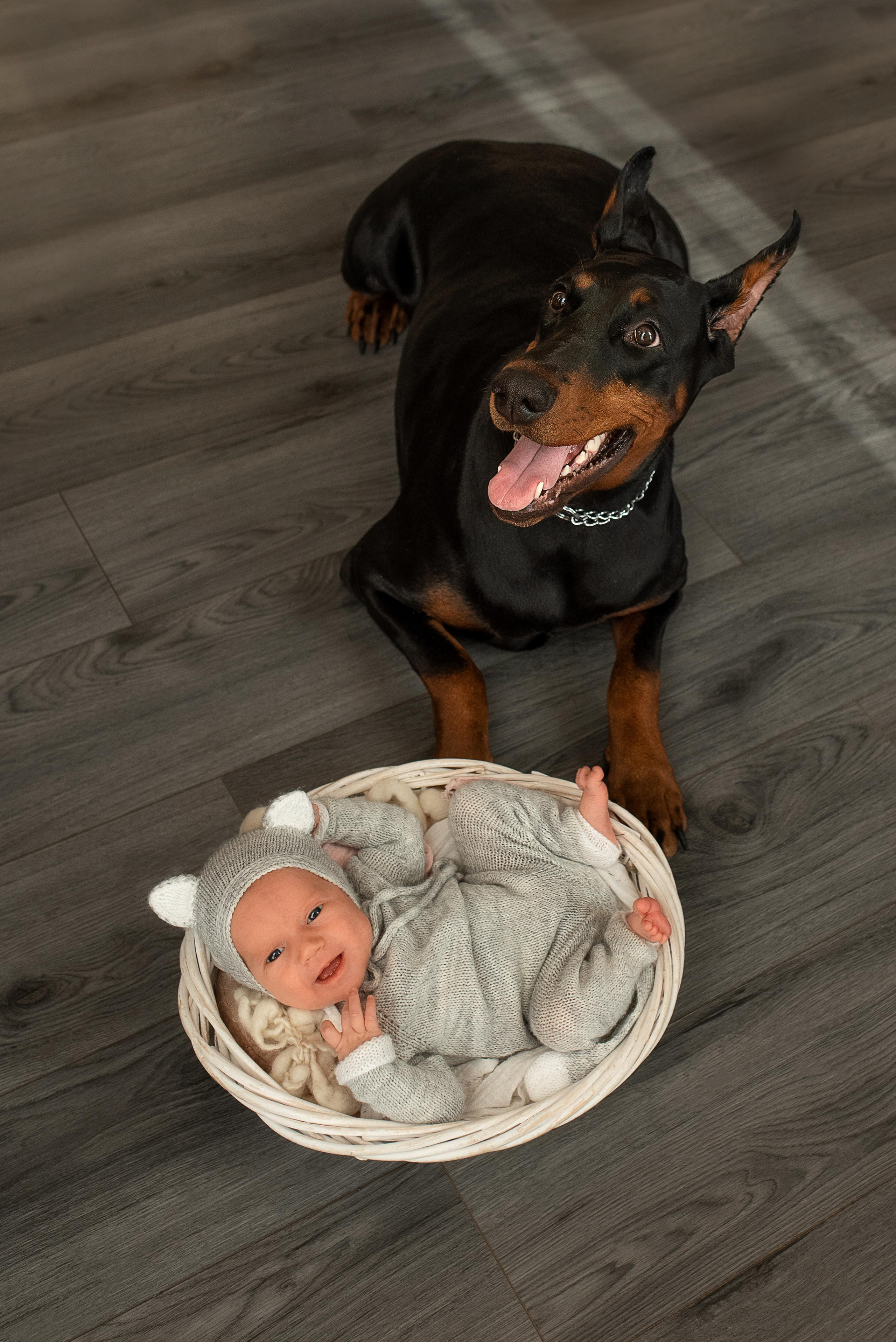 Ангелина. Фотограф новорожденных в Екатеринбурге Лена Ильина