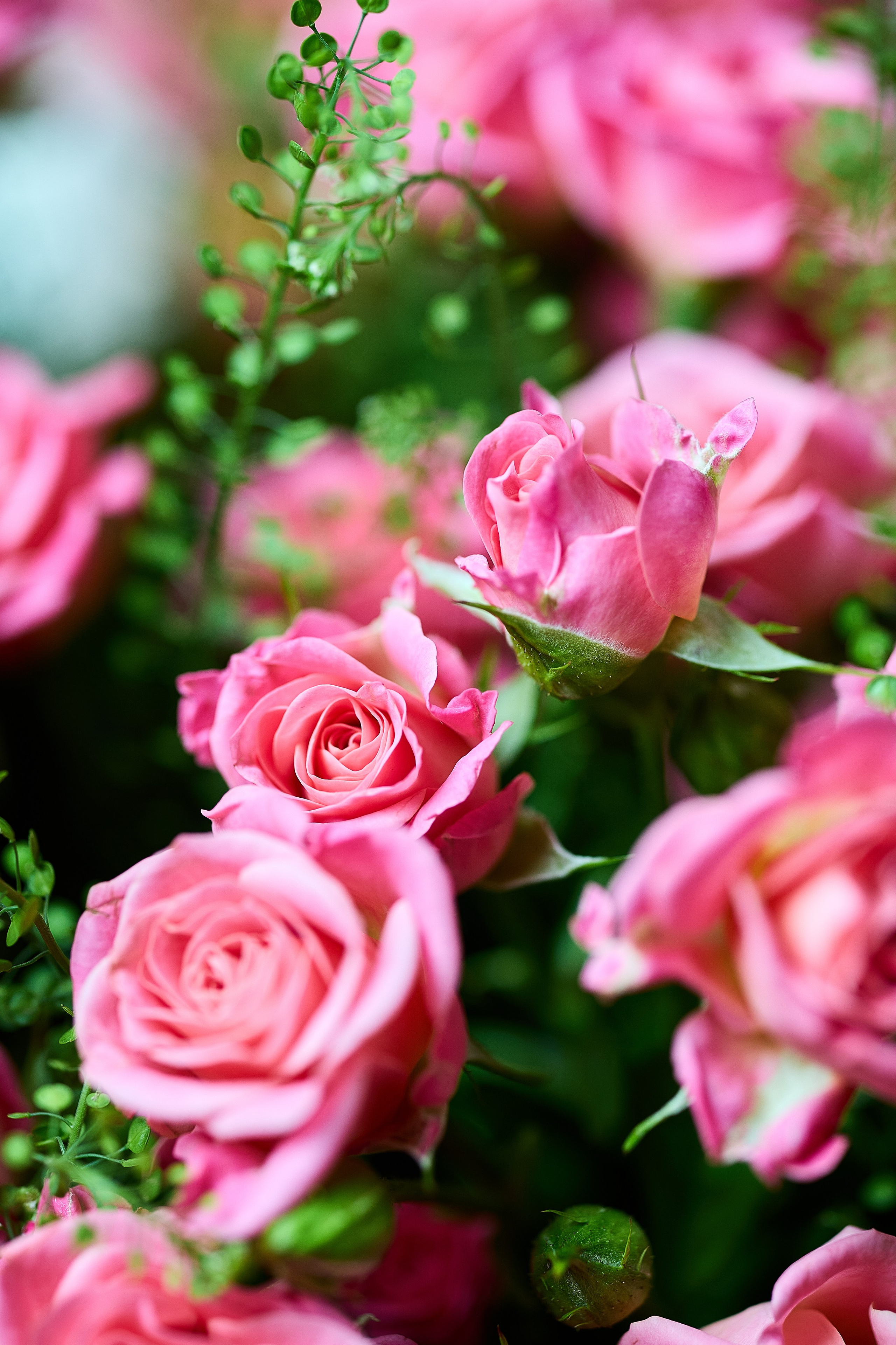 Репортаж с дня рождения. Фотограф Эдуард Леньков. Ростов-на-Дону