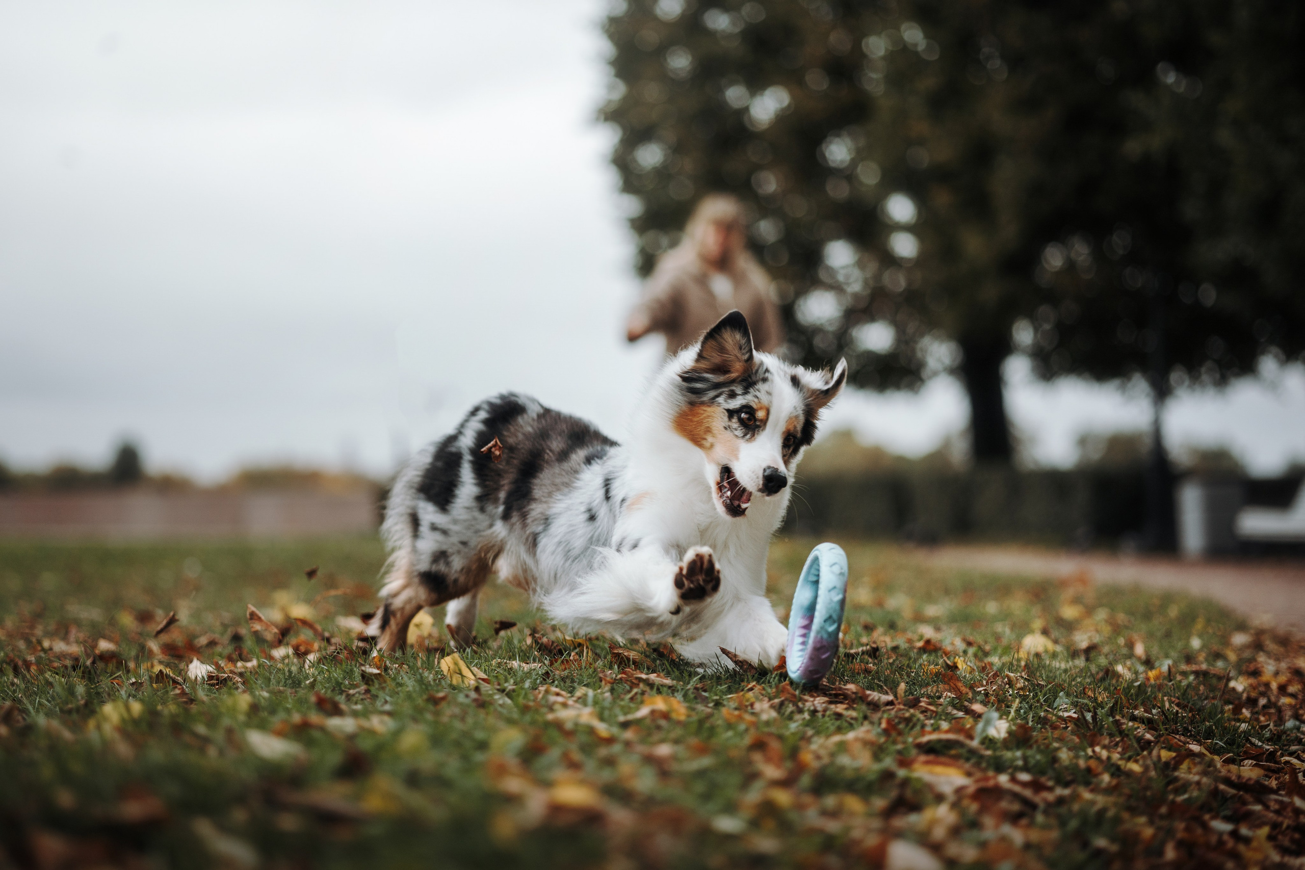 Ирина и Кайса. Фотограф — Анималист | Санкт-Петербург