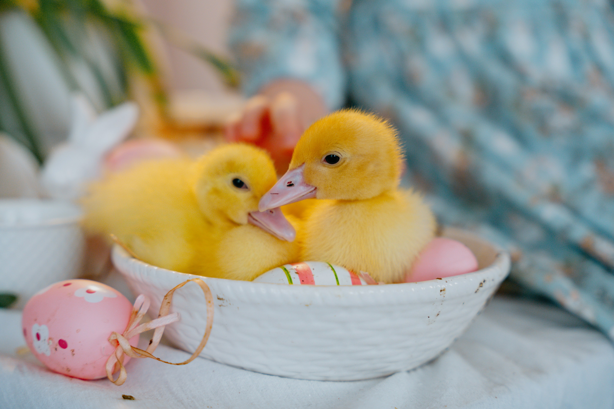 Счастливая Пасха