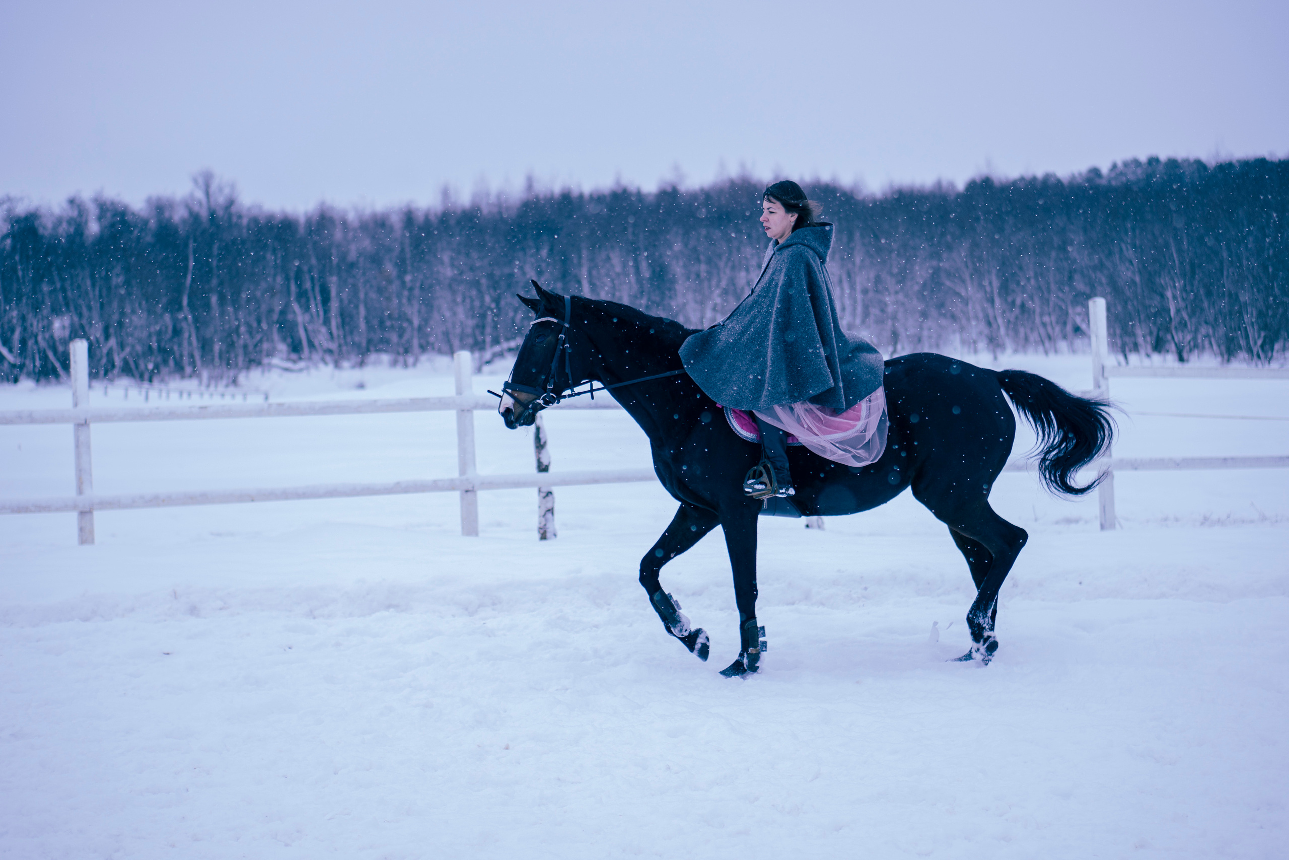 Елена и Ариадна. Детский и семейный фотограф в Рыбинске Юлия Дмитриева