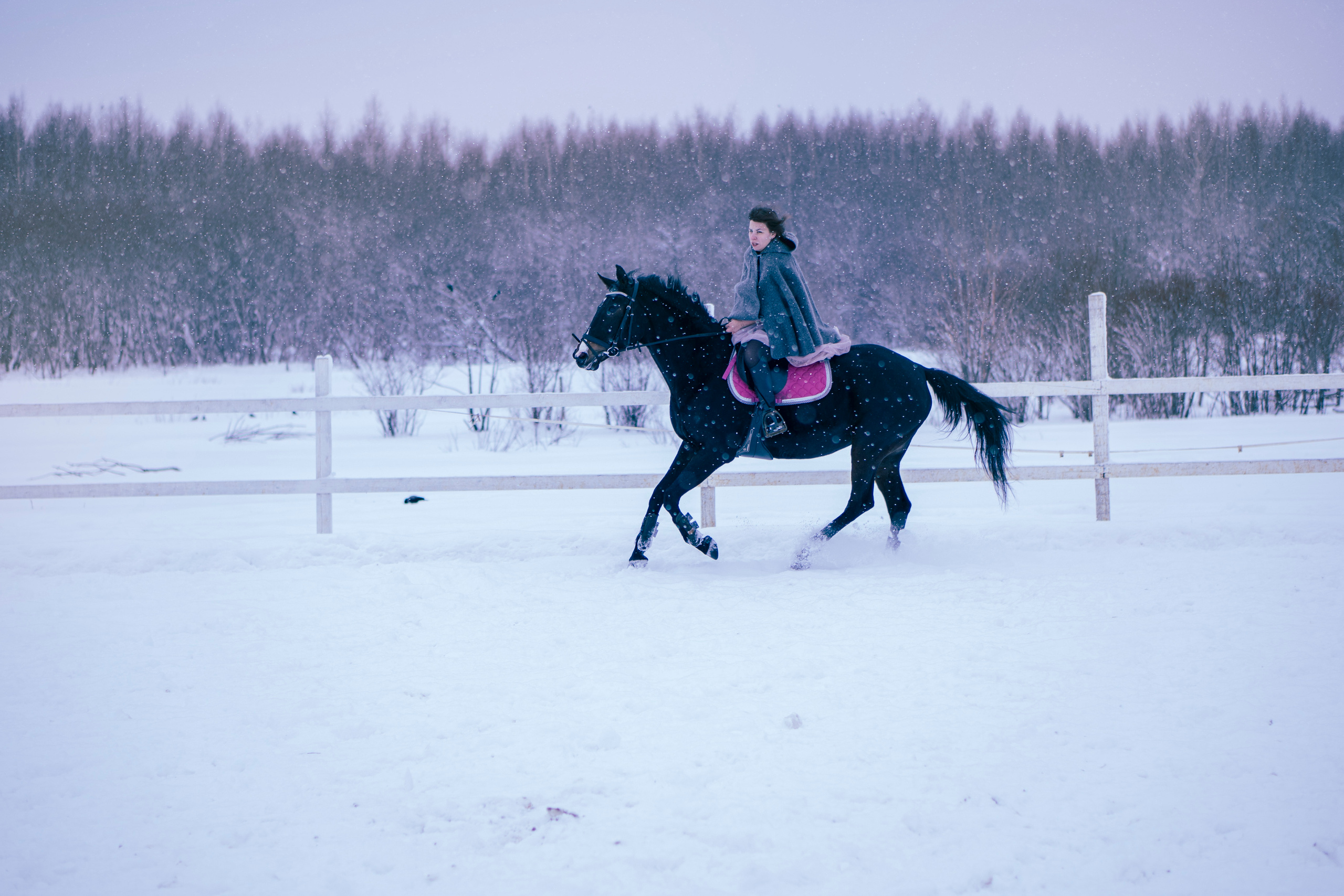 Елена и Ариадна. Детский и семейный фотограф в Рыбинске Юлия Дмитриева