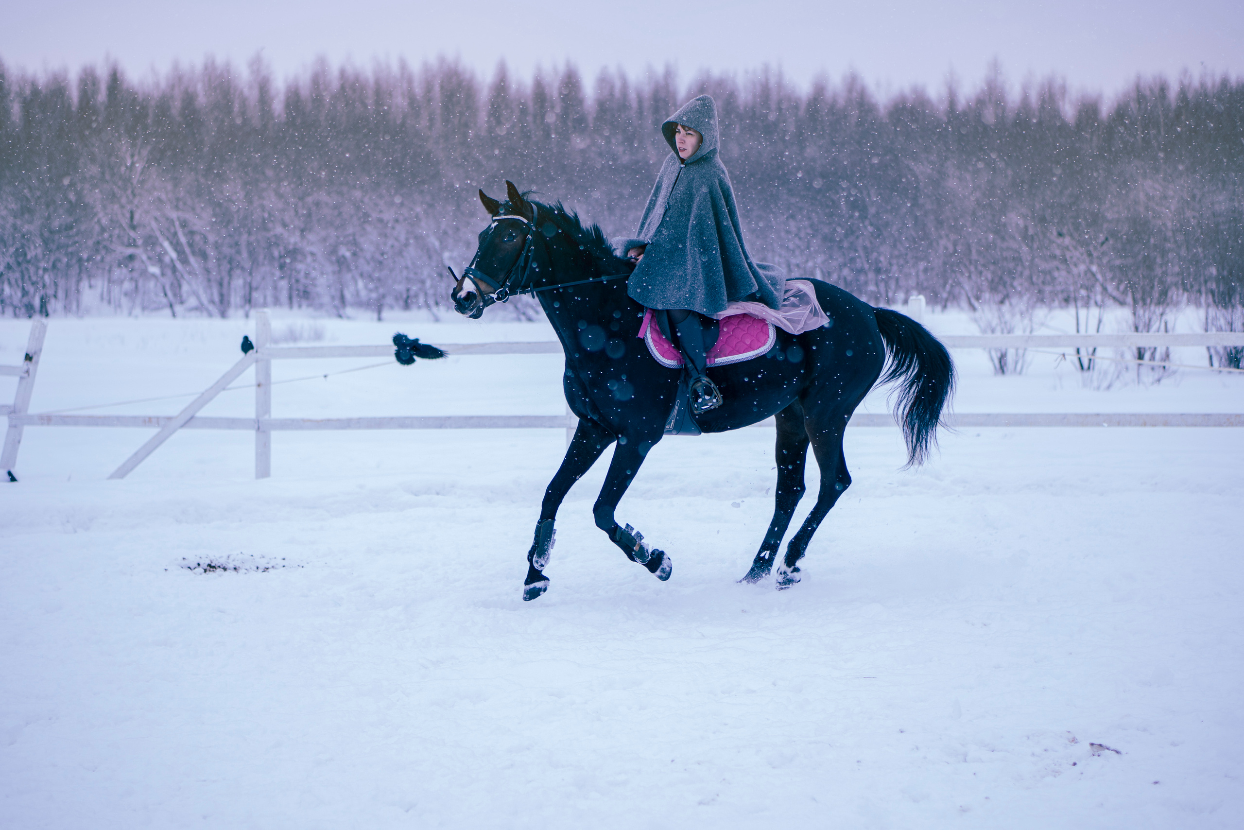 Елена и Ариадна. Детский и семейный фотограф в Рыбинске Юлия Дмитриева