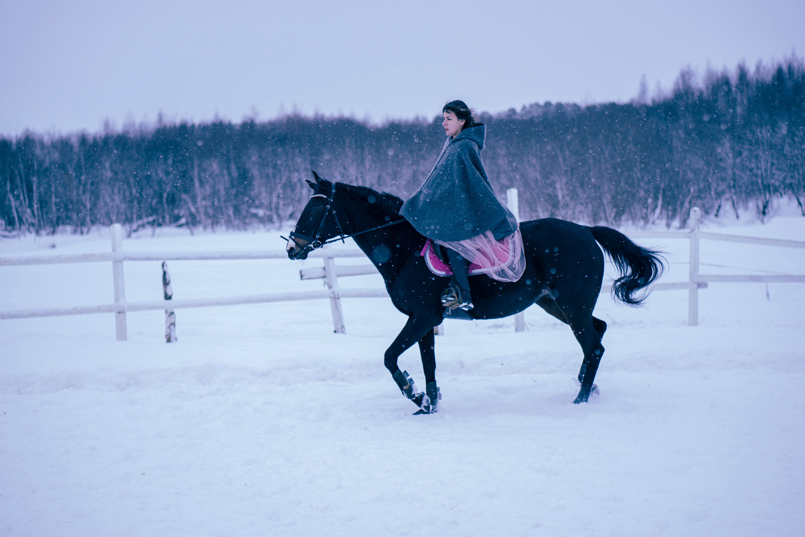 Елена и Ариадна. Детский и семейный фотограф в Рыбинске Юлия Дмитриева
