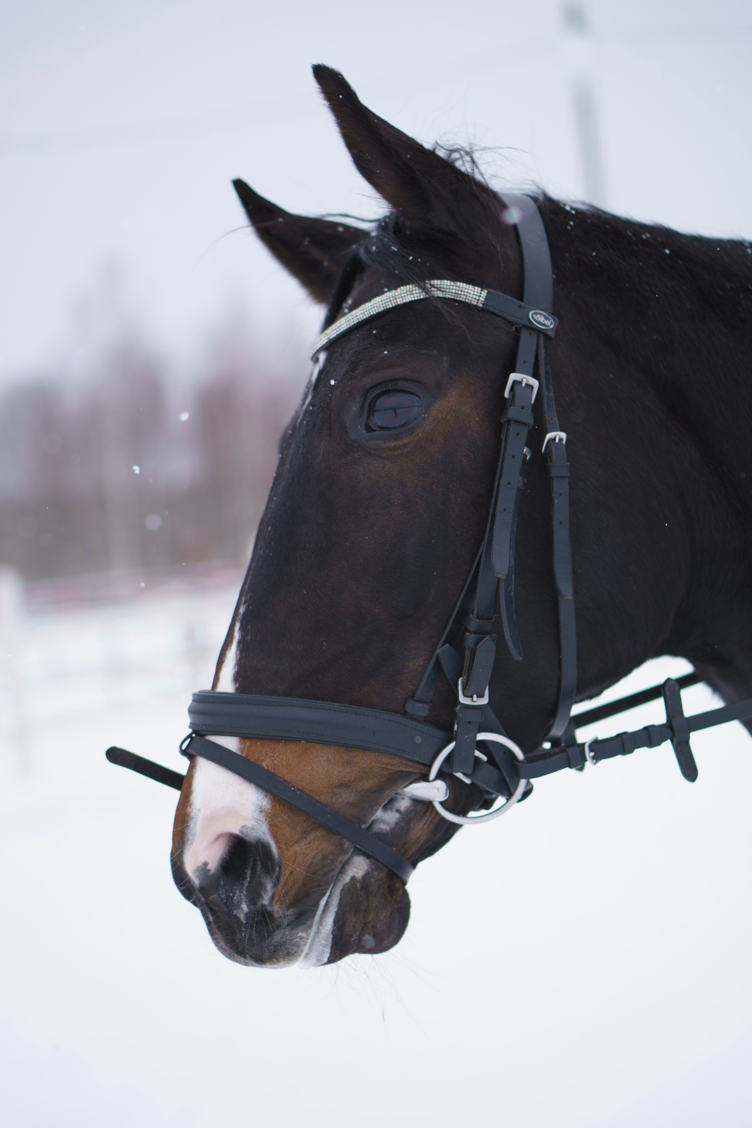 Елена и Ариадна. Детский и семейный фотограф в Рыбинске Юлия Дмитриева