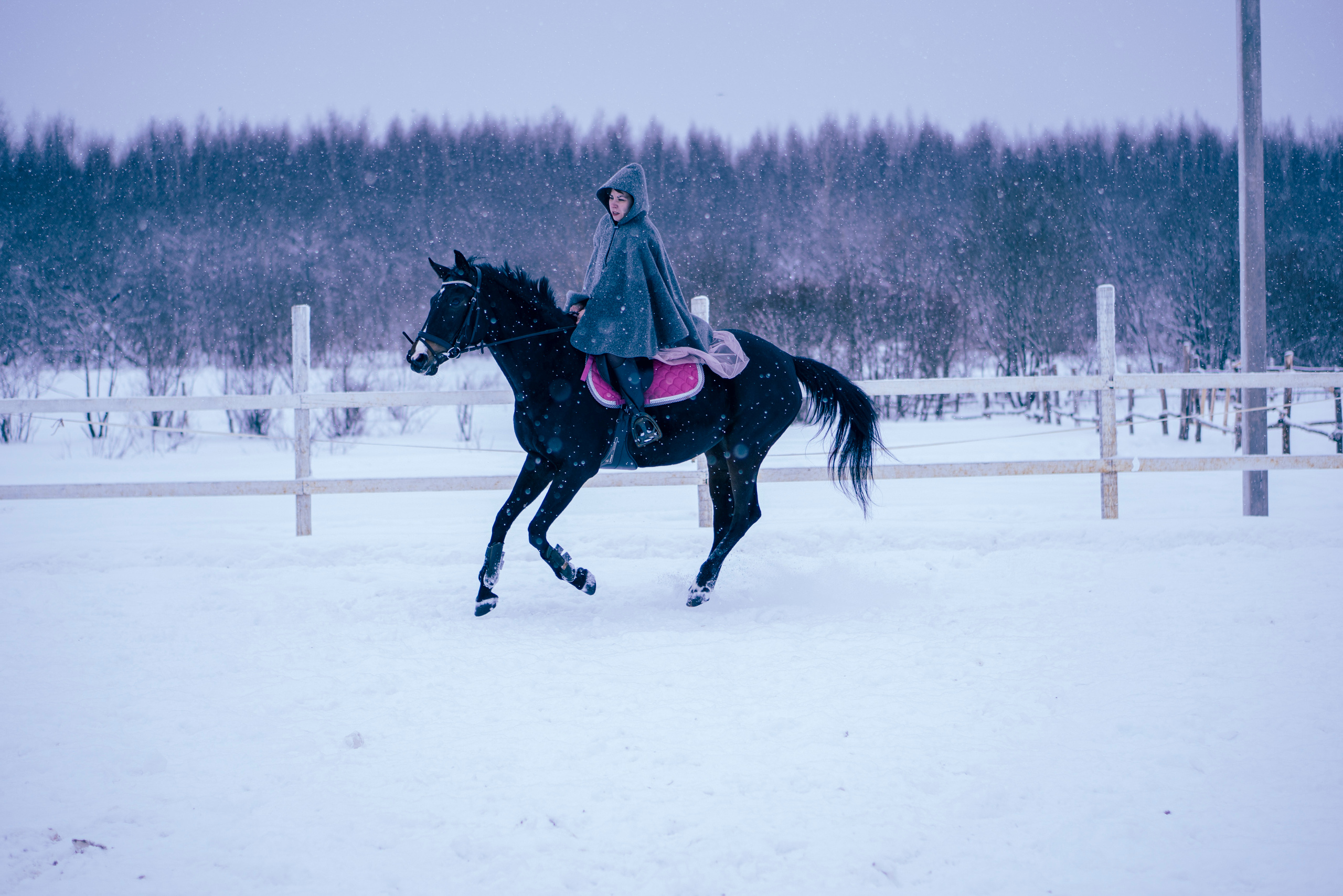 Елена и Ариадна. Детский и семейный фотограф в Рыбинске Юлия Дмитриева