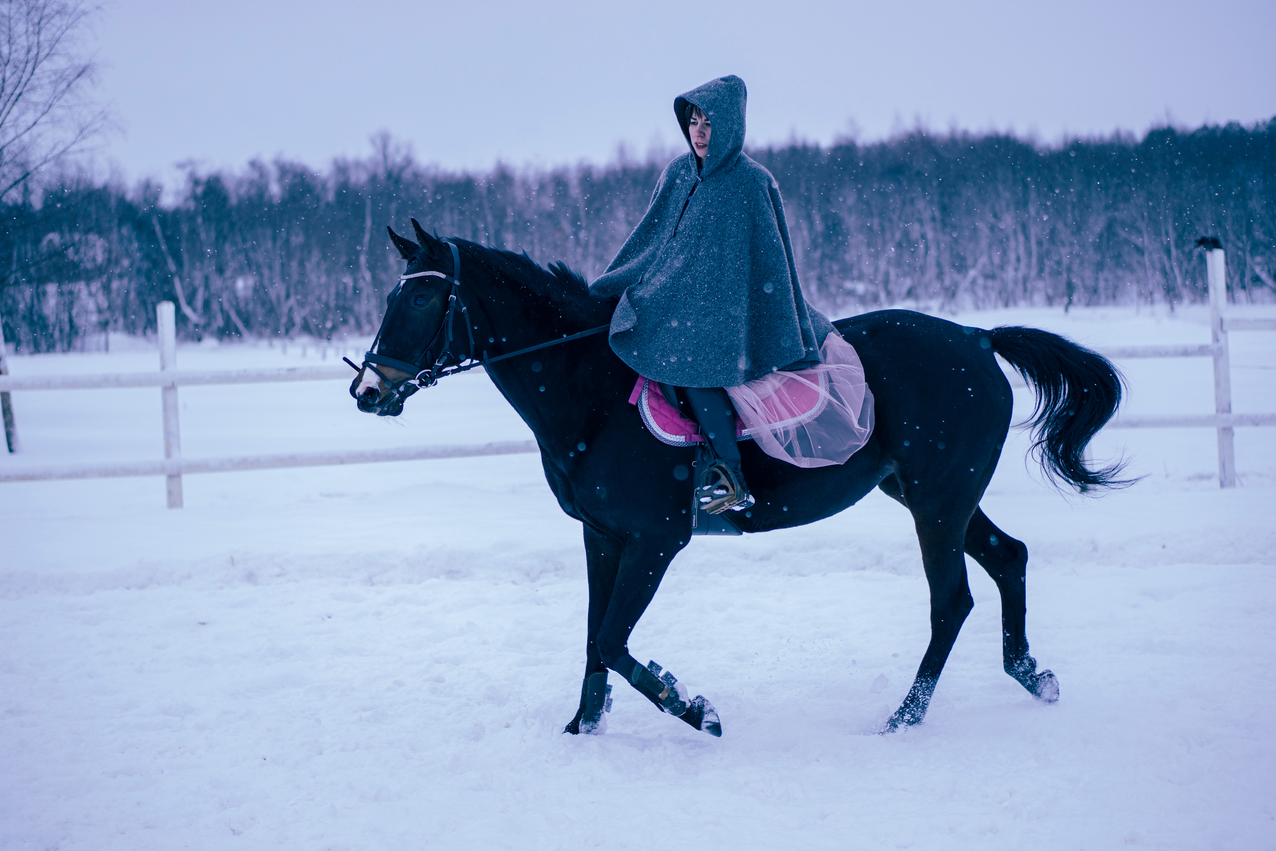 Елена и Ариадна. Детский и семейный фотограф в Рыбинске Юлия Дмитриева
