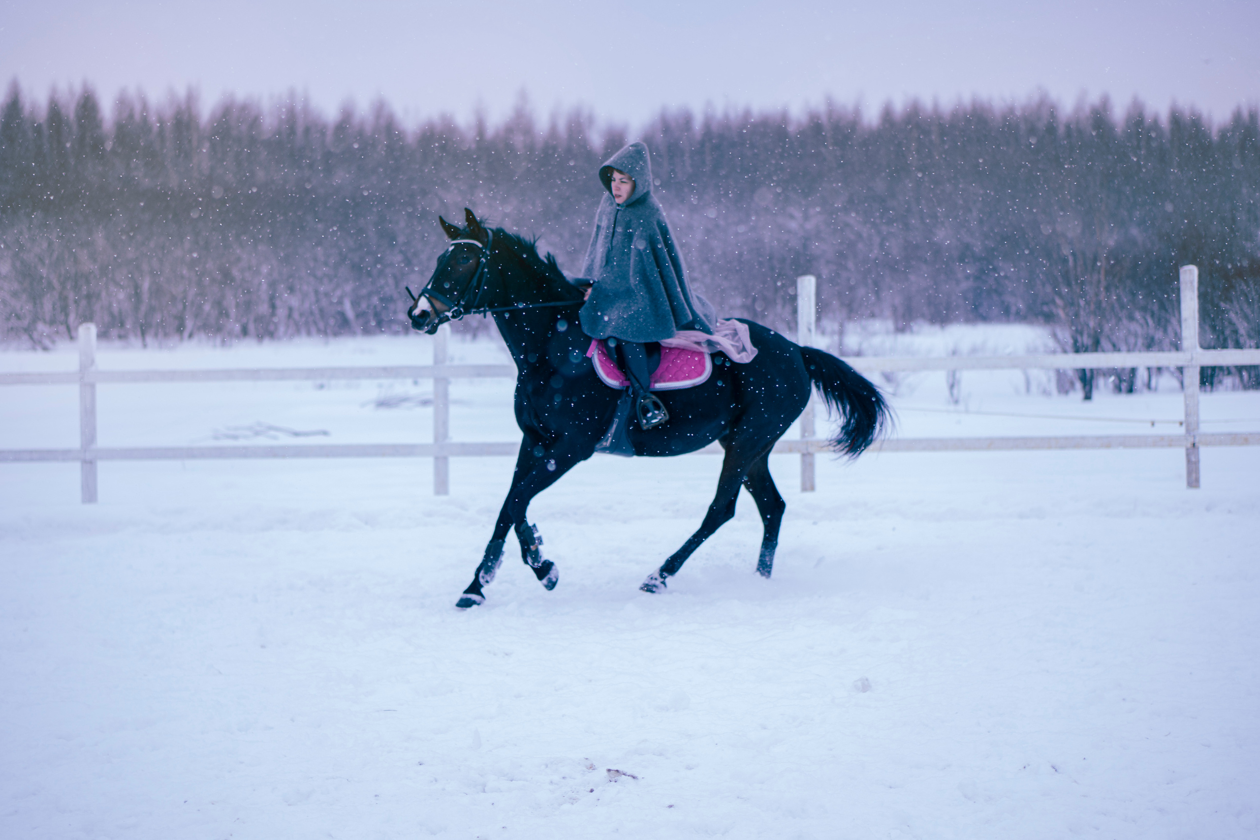 Елена и Ариадна. Детский и семейный фотограф в Рыбинске Юлия Дмитриева