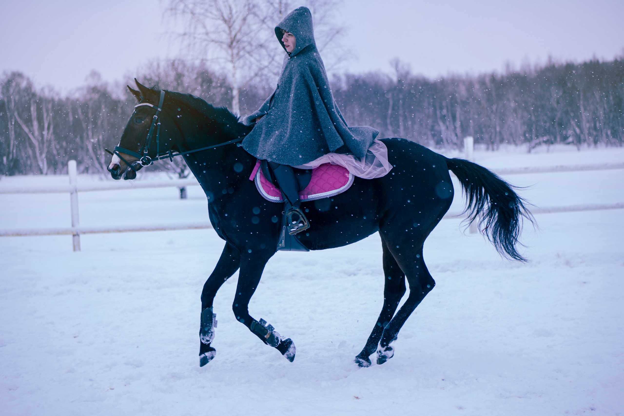 Елена и Ариадна. Детский и семейный фотограф в Рыбинске Юлия Дмитриева