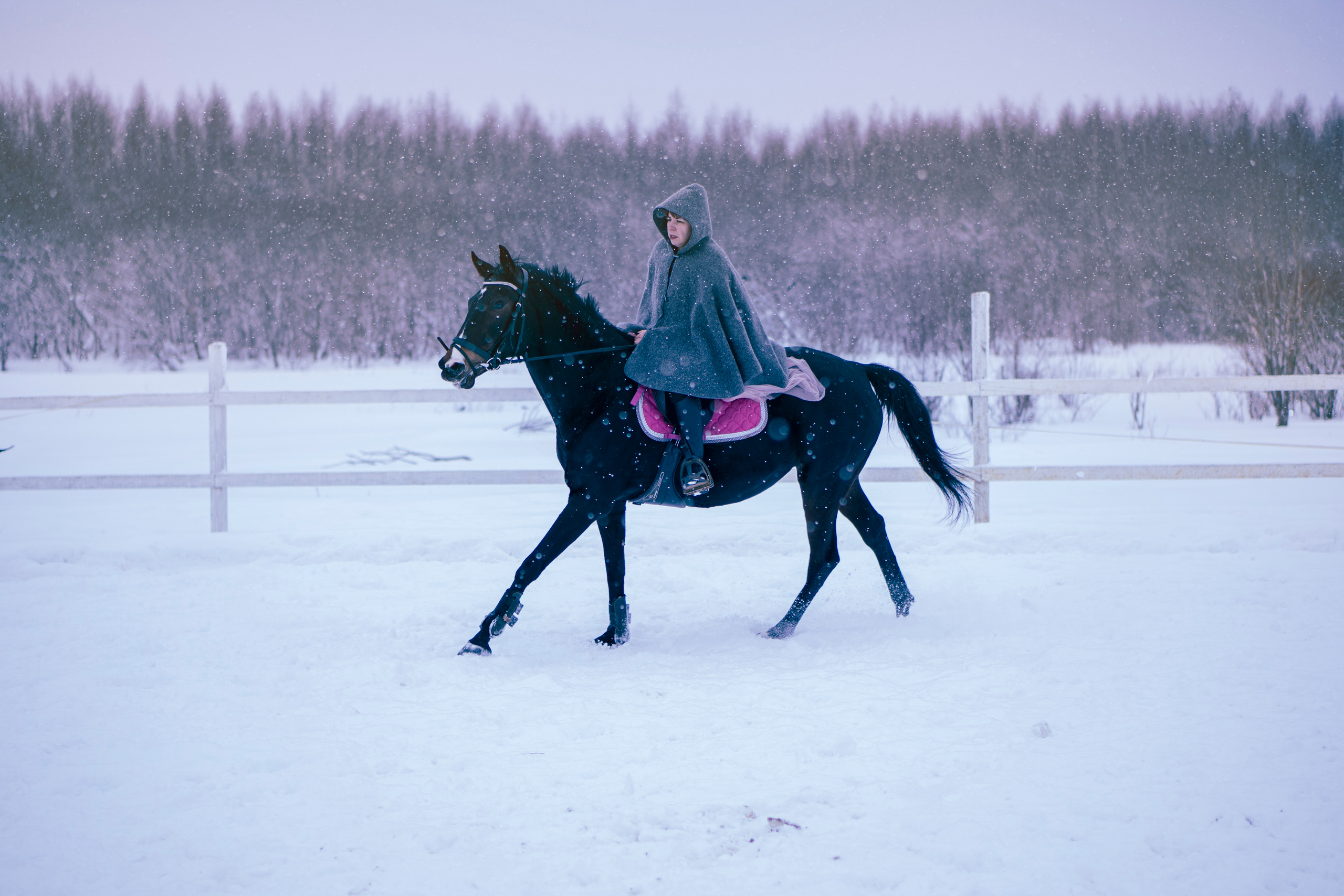 Елена и Ариадна. Детский и семейный фотограф в Рыбинске Юлия Дмитриева