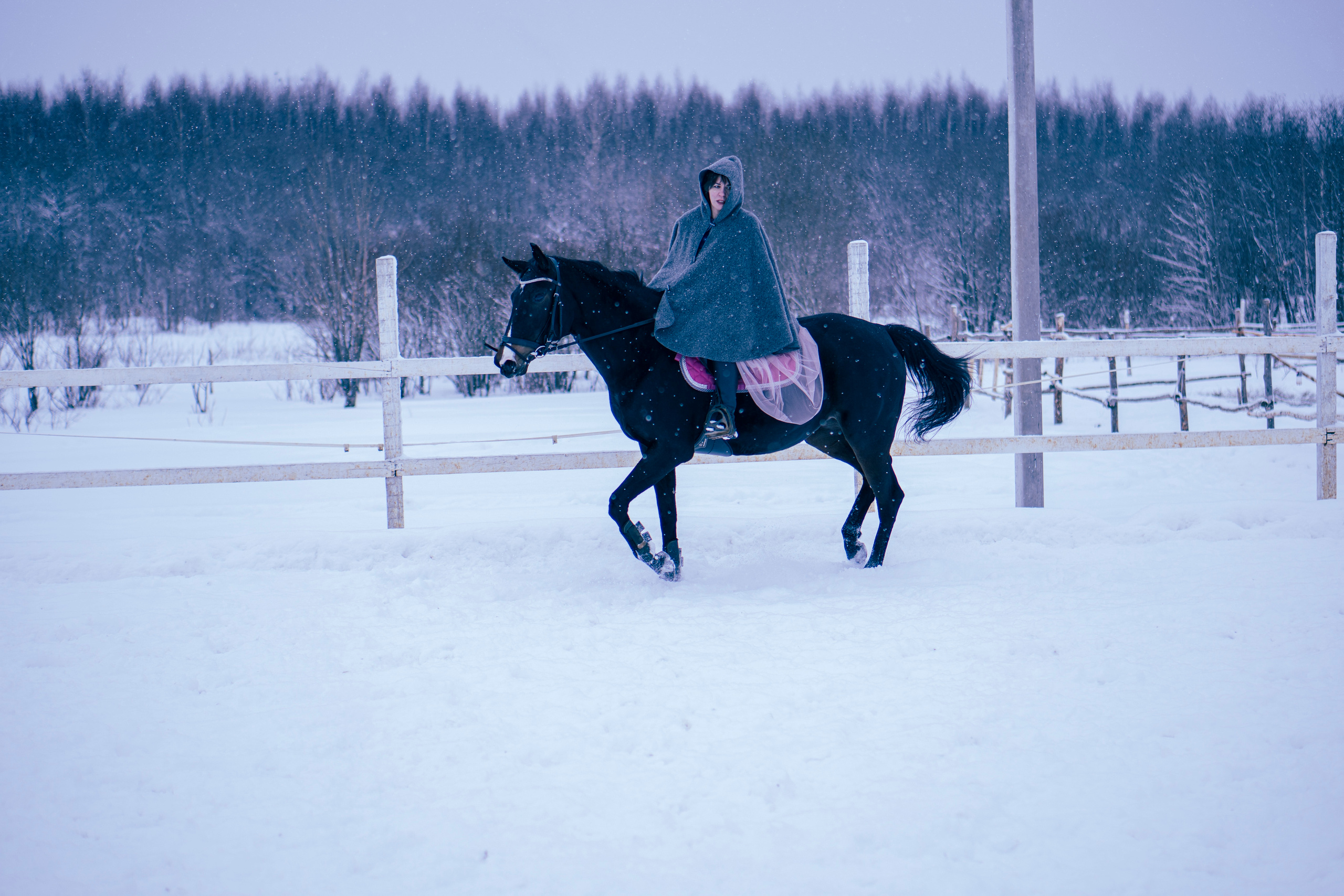 Елена и Ариадна. Детский и семейный фотограф в Рыбинске Юлия Дмитриева