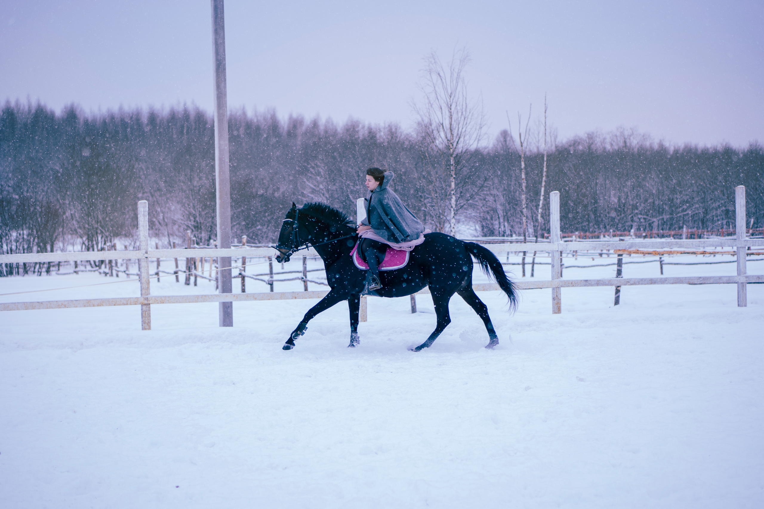 Елена и Ариадна. Детский и семейный фотограф в Рыбинске Юлия Дмитриева