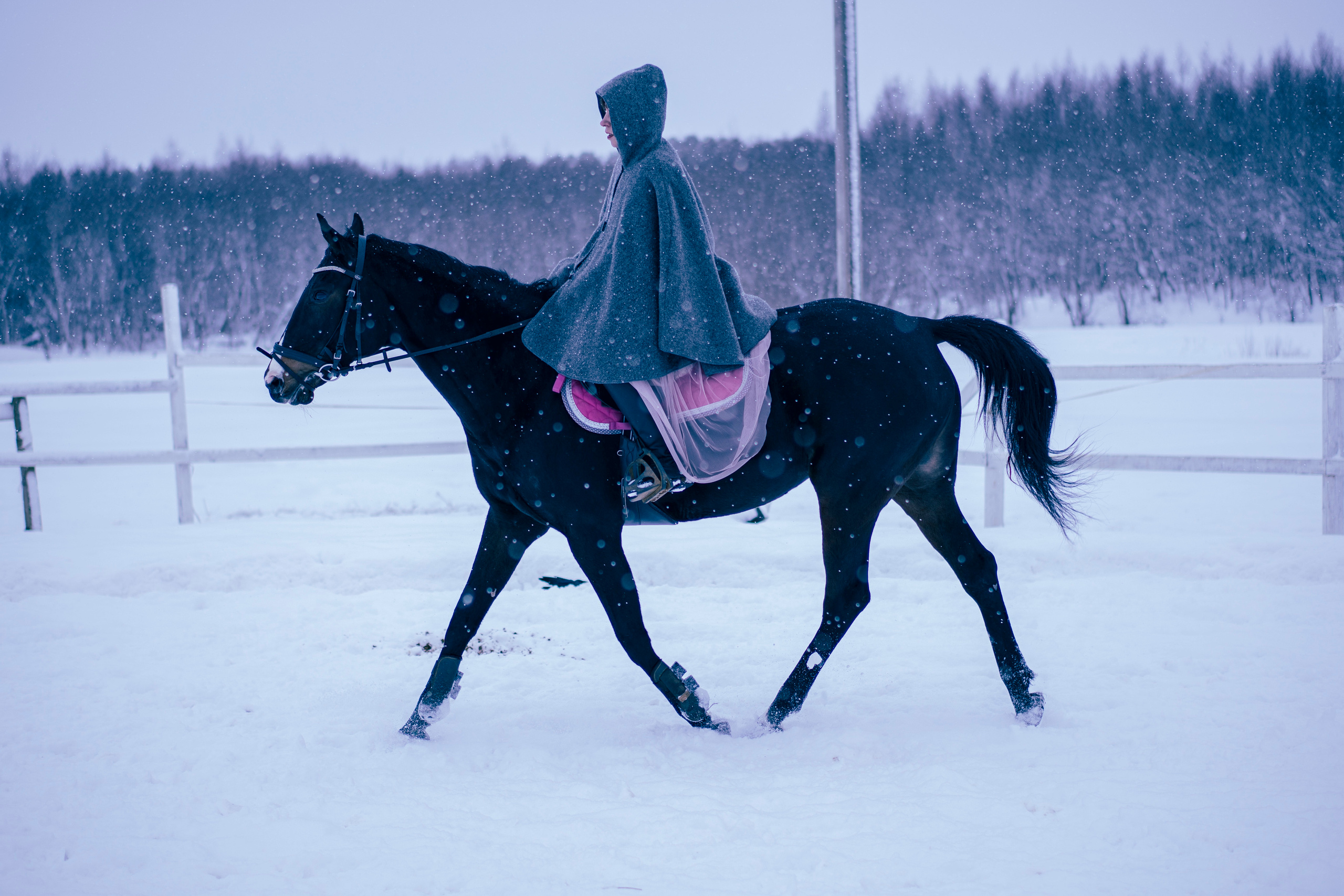 Елена и Ариадна. Детский и семейный фотограф в Рыбинске Юлия Дмитриева