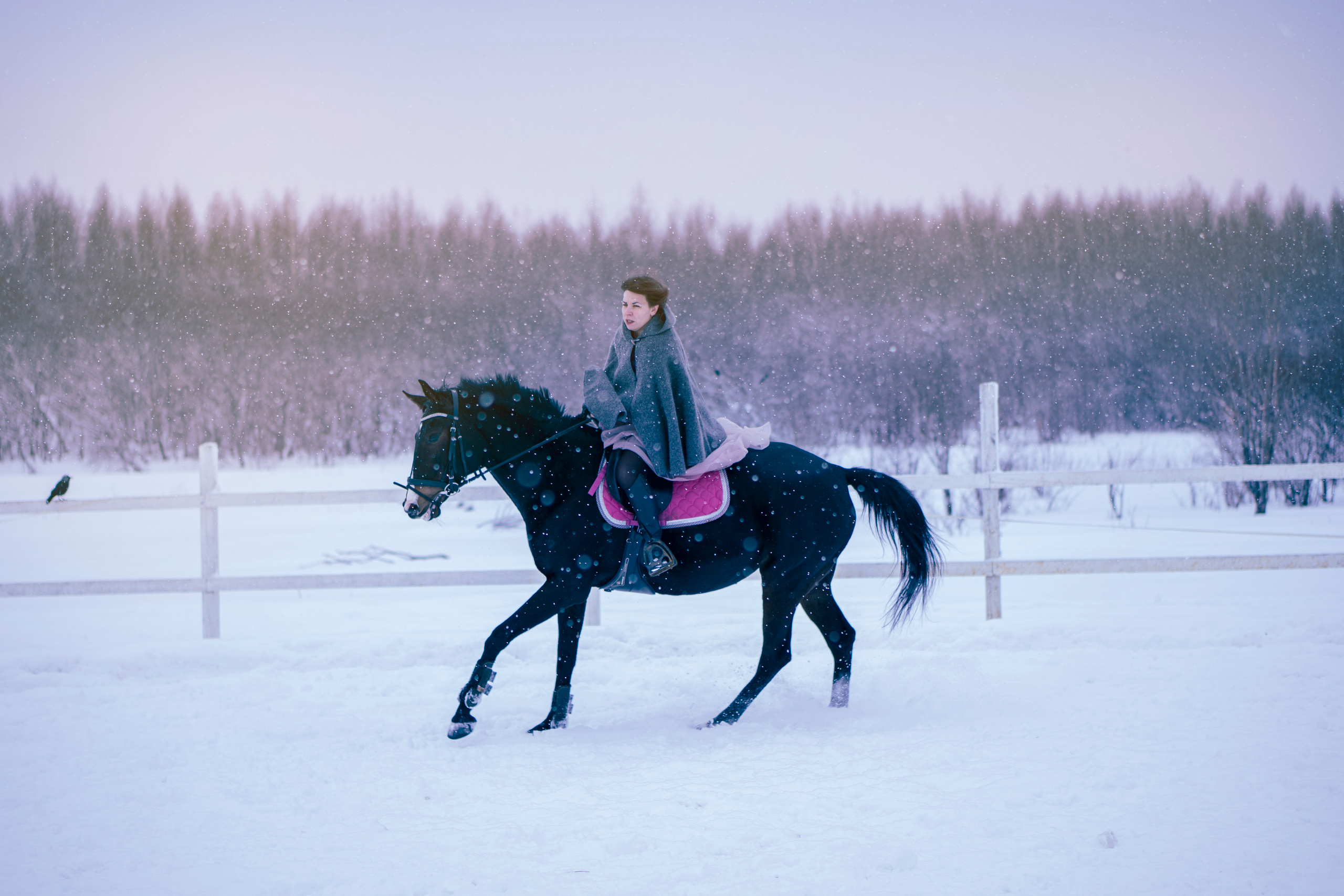Елена и Ариадна. Детский и семейный фотограф в Рыбинске Юлия Дмитриева