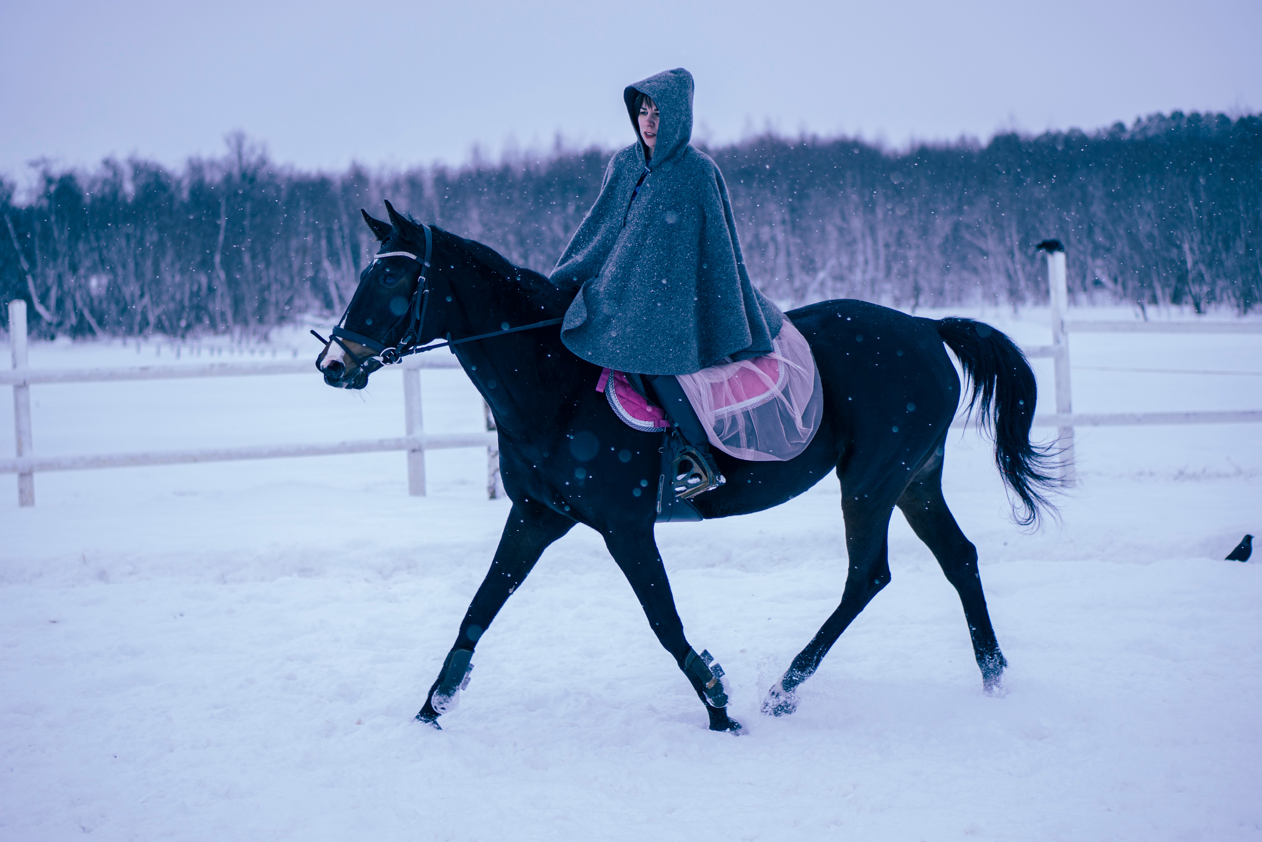Елена и Ариадна. Детский и семейный фотограф в Рыбинске Юлия Дмитриева