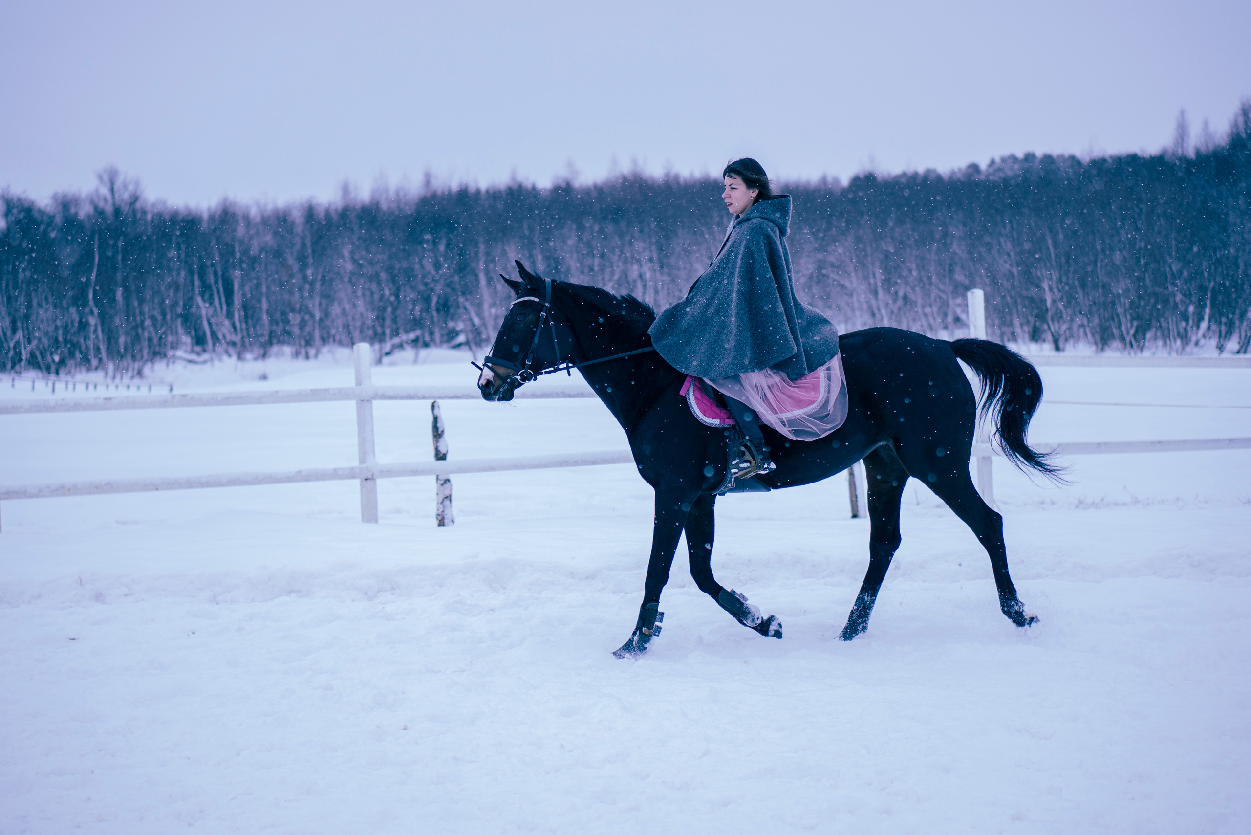 Елена и Ариадна. Детский и семейный фотограф в Рыбинске Юлия Дмитриева