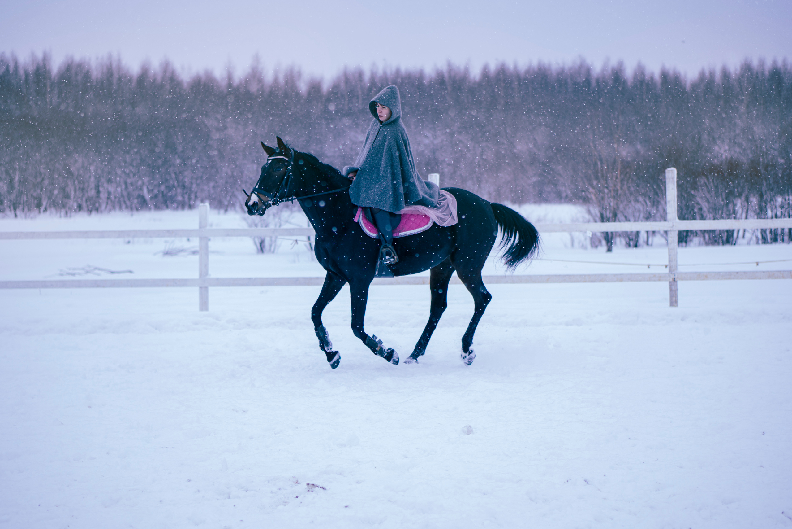 Елена и Ариадна. Детский и семейный фотограф в Рыбинске Юлия Дмитриева