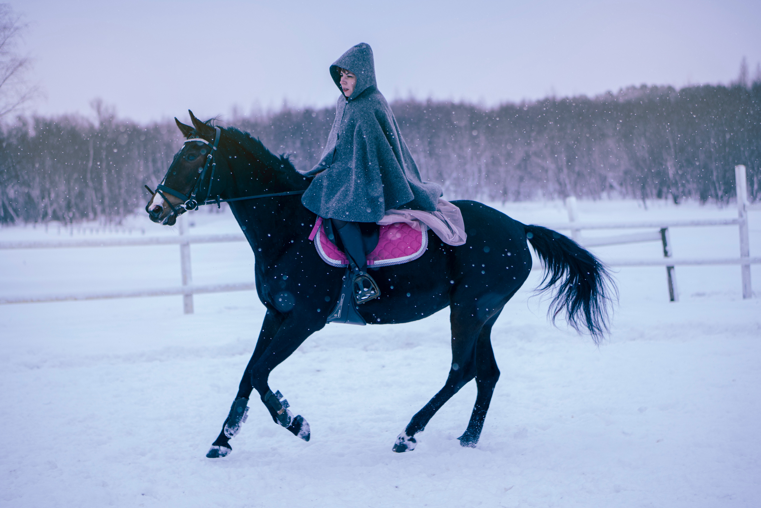 Елена и Ариадна. Детский и семейный фотограф в Рыбинске Юлия Дмитриева