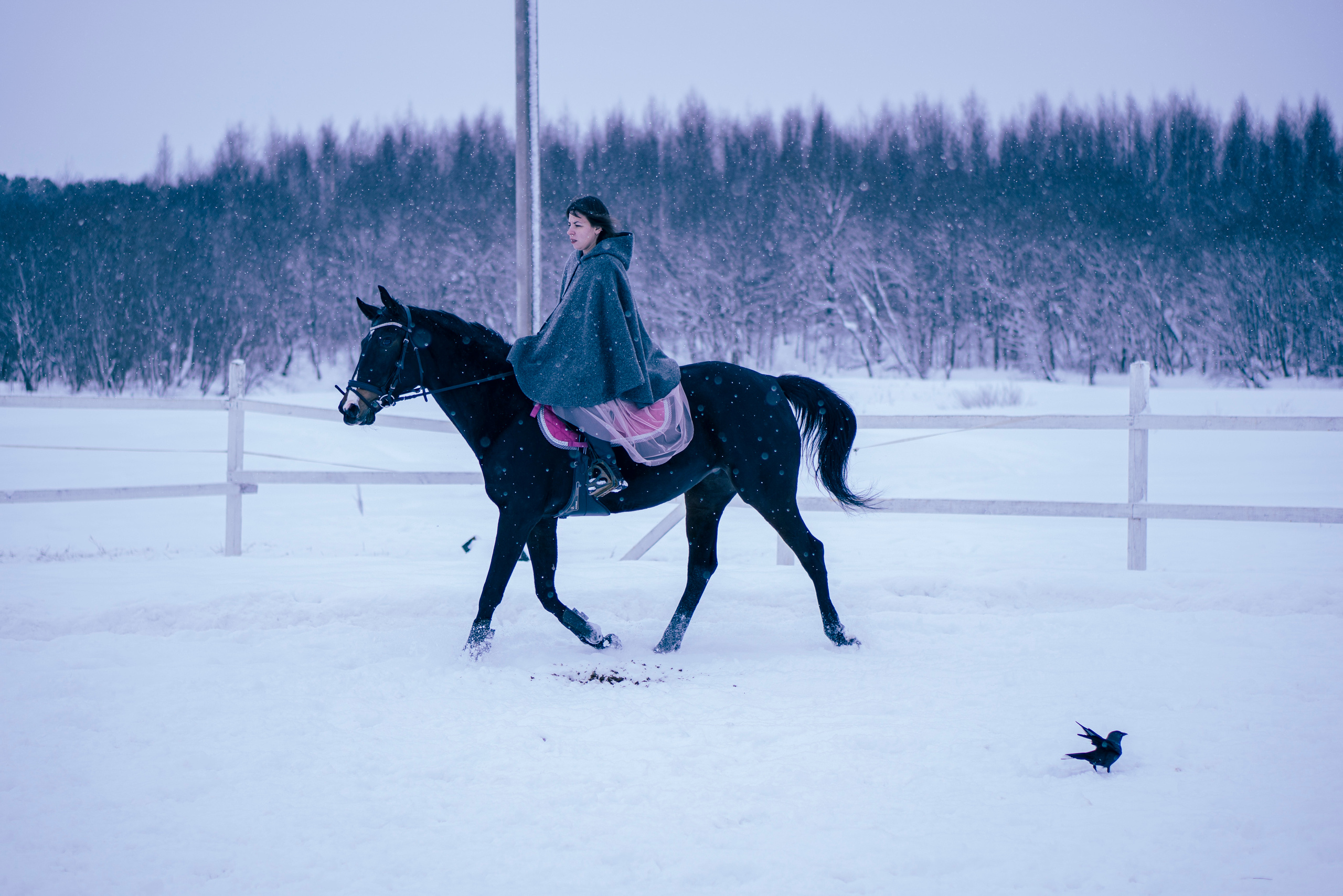 Елена и Ариадна. Детский и семейный фотограф в Рыбинске Юлия Дмитриева
