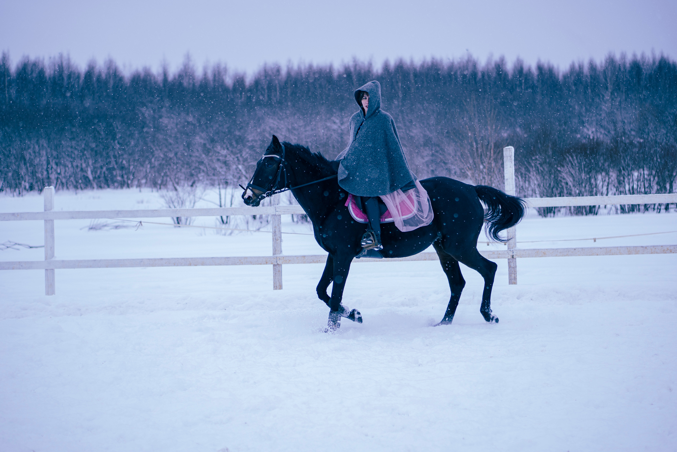 Елена и Ариадна. Детский и семейный фотограф в Рыбинске Юлия Дмитриева