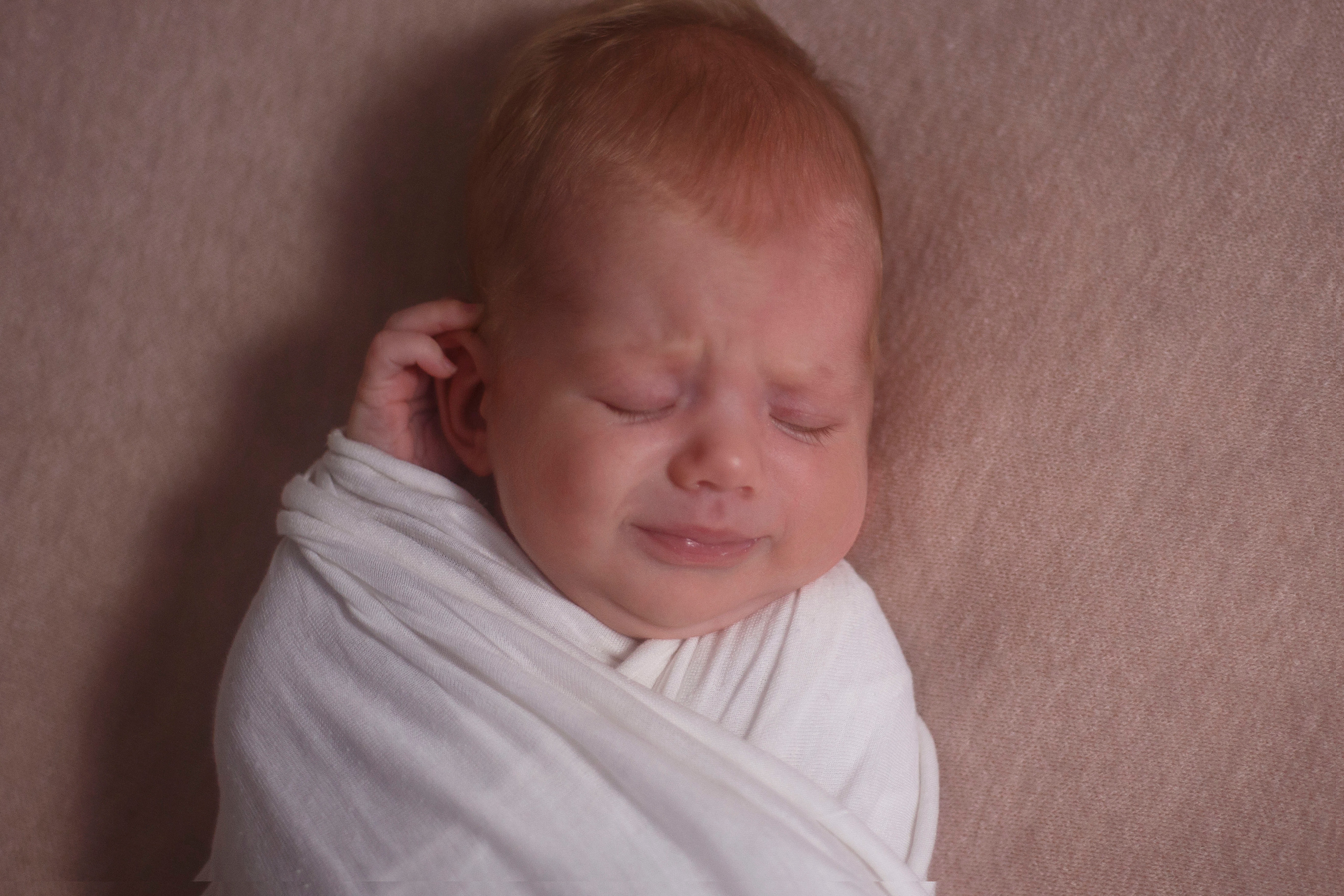 Алина. Детский и семейный фотограф в Рыбинске Юлия Дмитриева