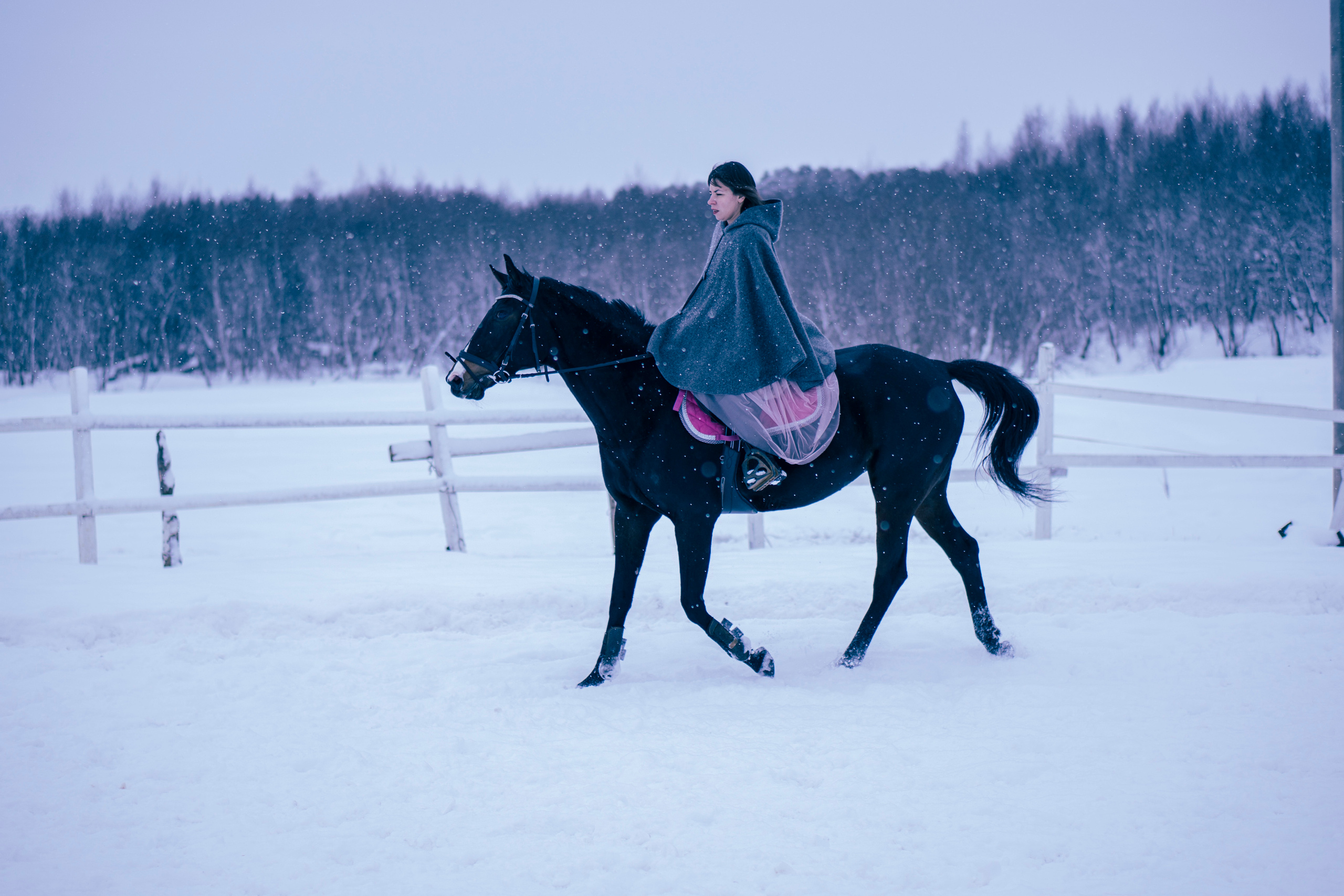 Елена и Ариадна. Детский и семейный фотограф в Рыбинске Юлия Дмитриева