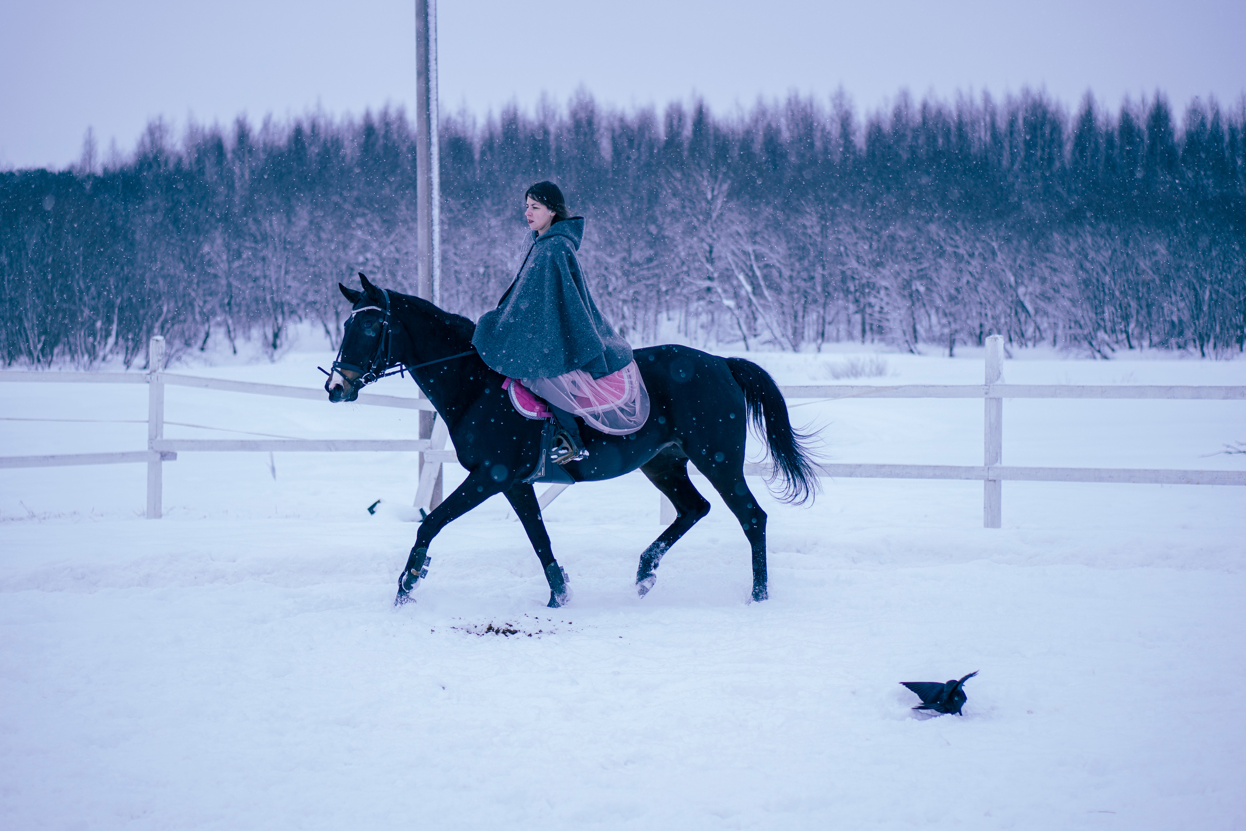 Елена и Ариадна. Детский и семейный фотограф в Рыбинске Юлия Дмитриева
