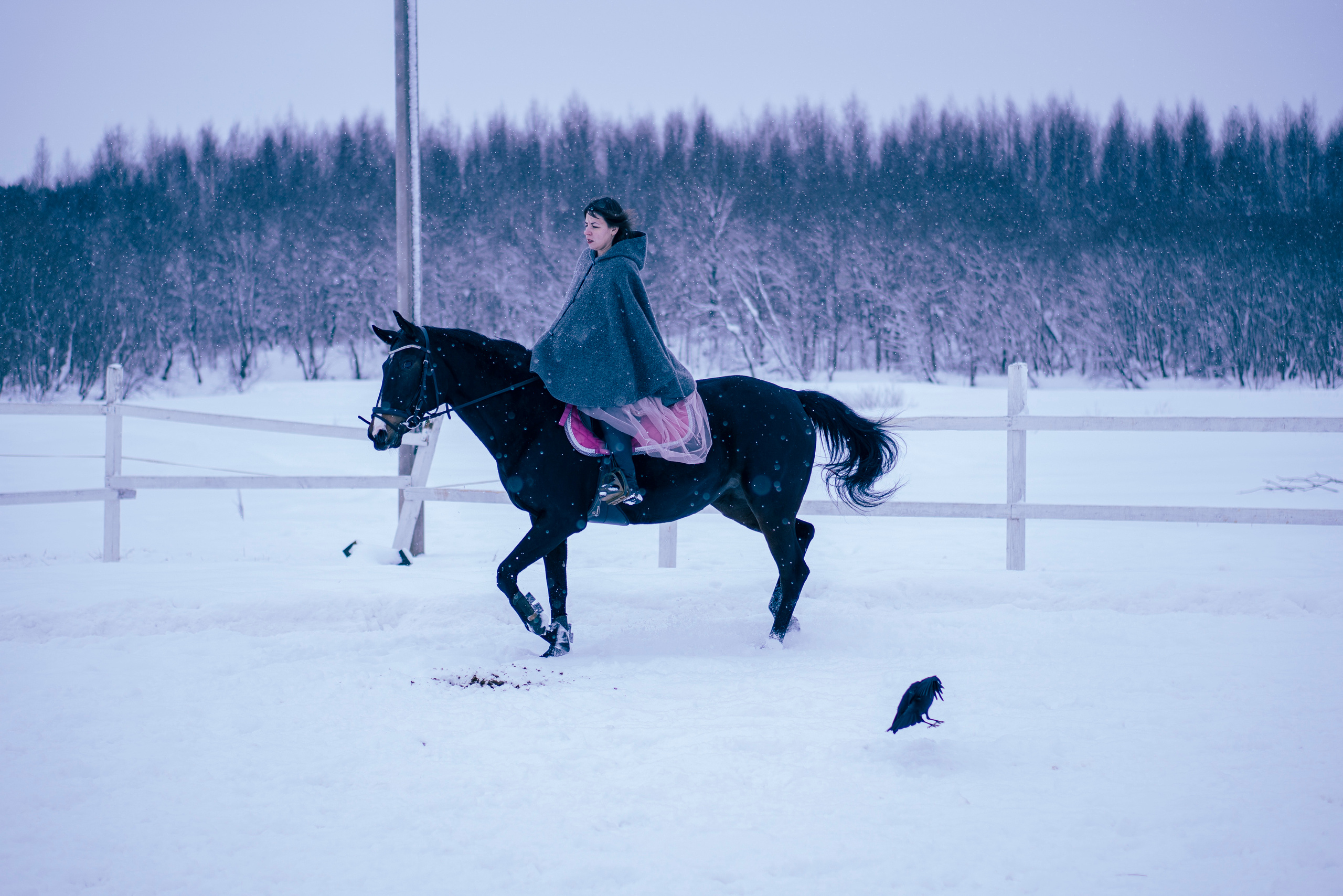 Елена и Ариадна. Детский и семейный фотограф в Рыбинске Юлия Дмитриева
