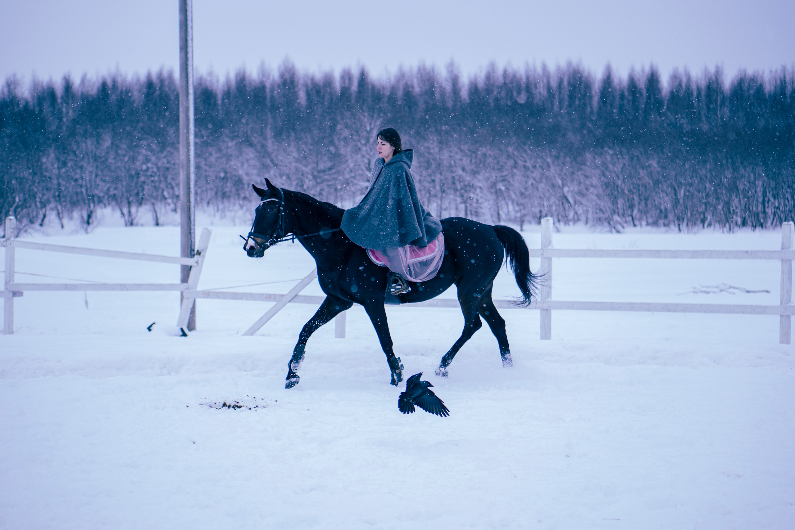 Елена и Ариадна. Детский и семейный фотограф в Рыбинске Юлия Дмитриева