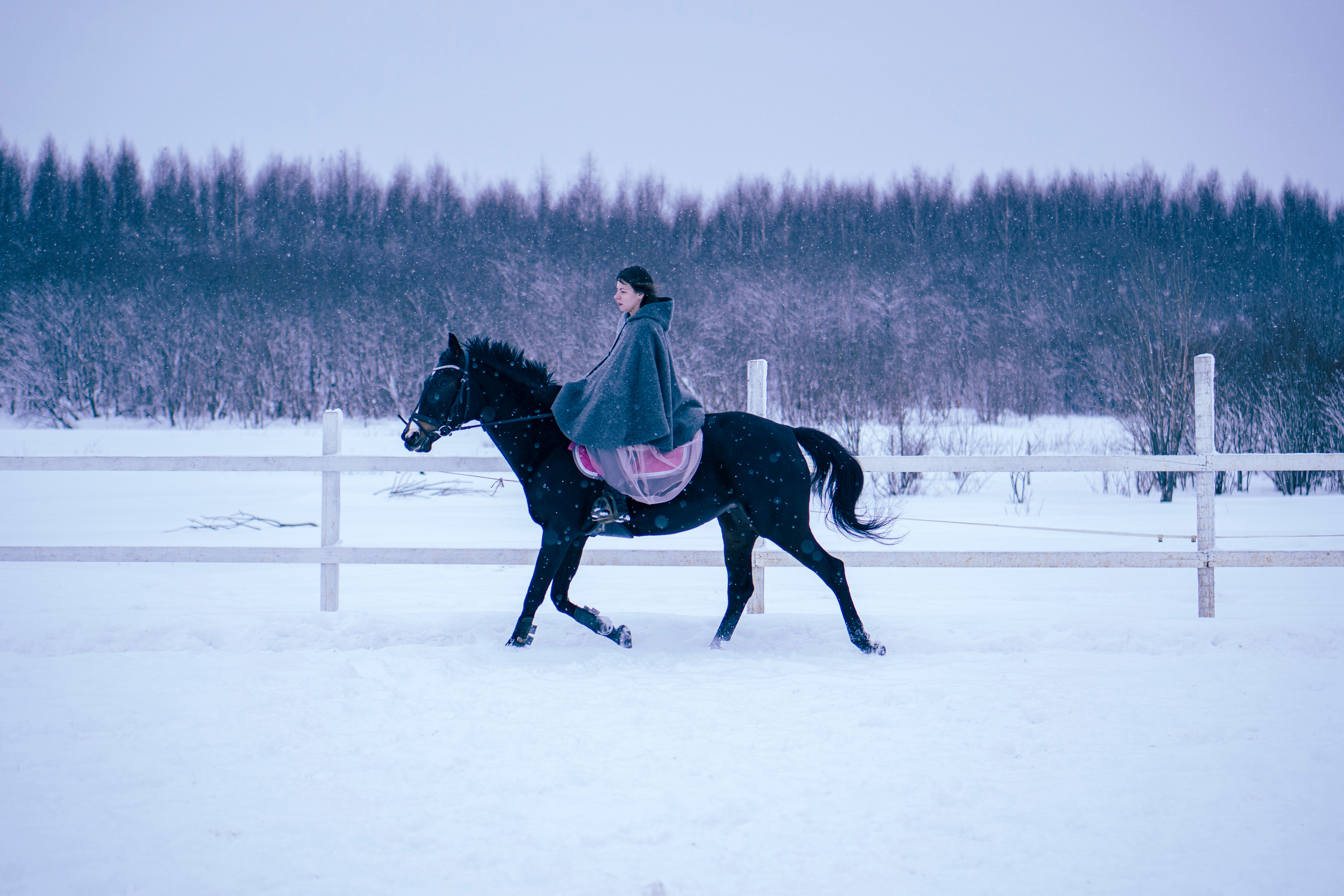 Елена и Ариадна. Детский и семейный фотограф в Рыбинске Юлия Дмитриева