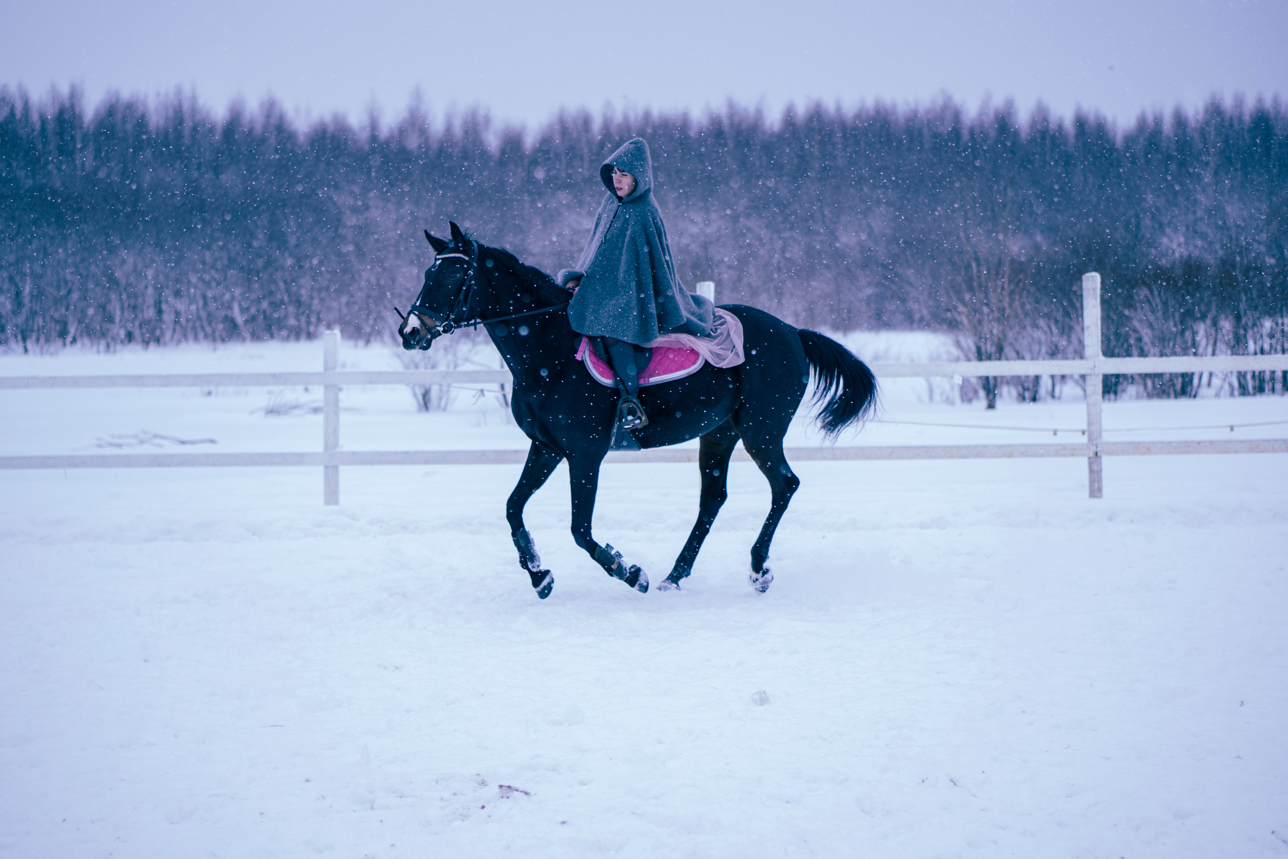 Елена и Ариадна. Детский и семейный фотограф в Рыбинске Юлия Дмитриева
