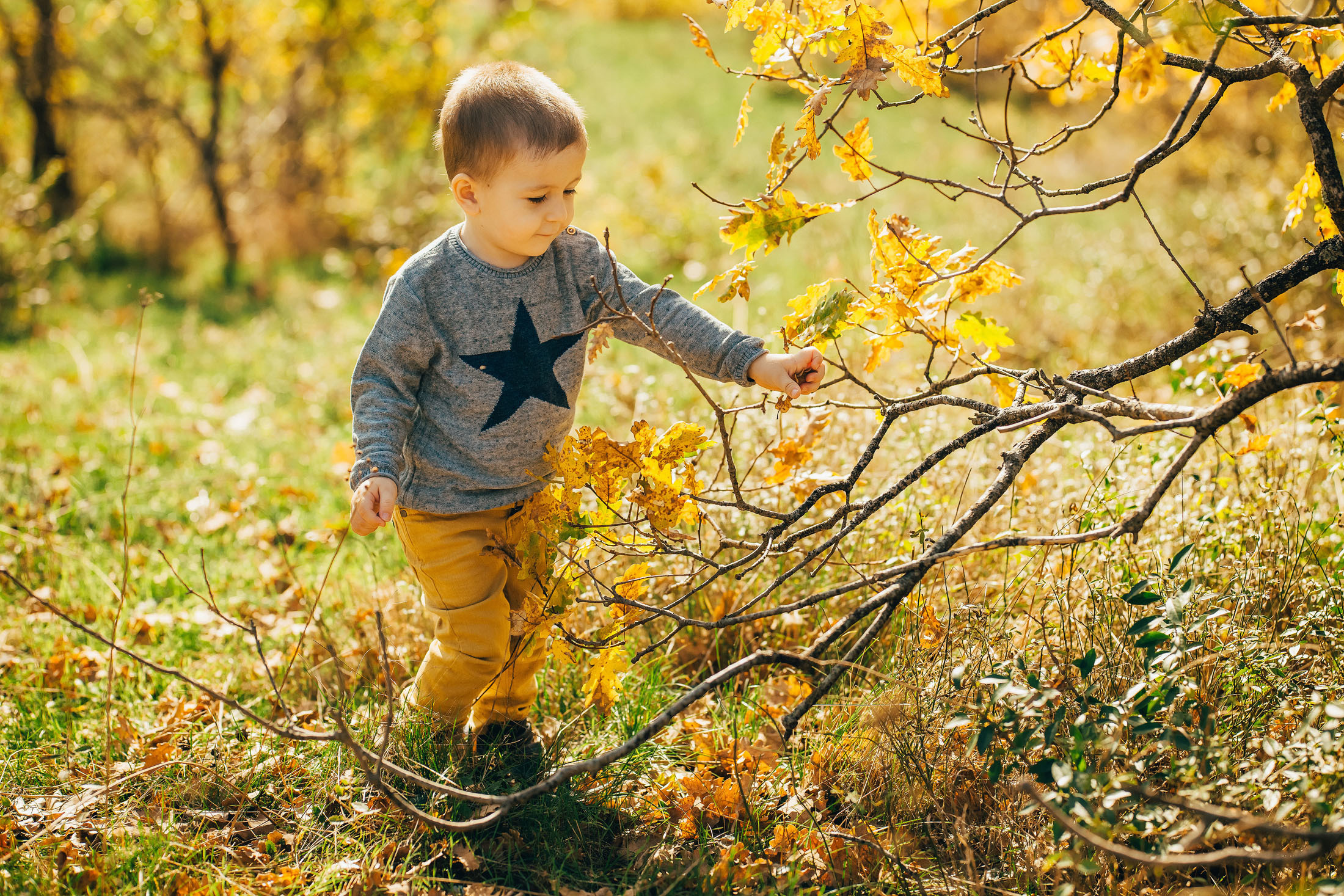Снимаю с душой! Фотограф Ломакина Юлия. Анапа. 89618282827. Семейный, детский, свадебный, фотограф в городе Анапа