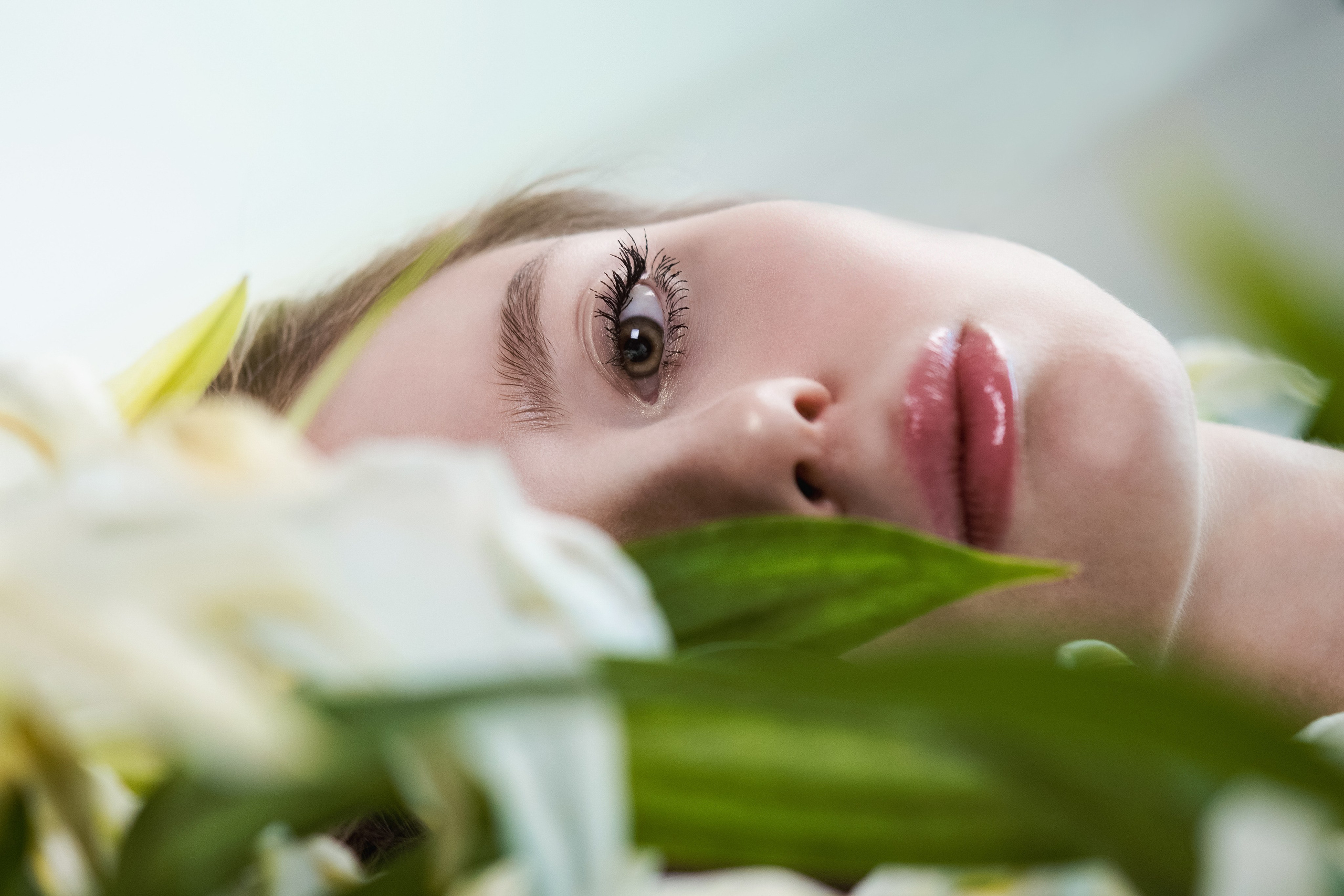 Алиса. Алексей Лещенко