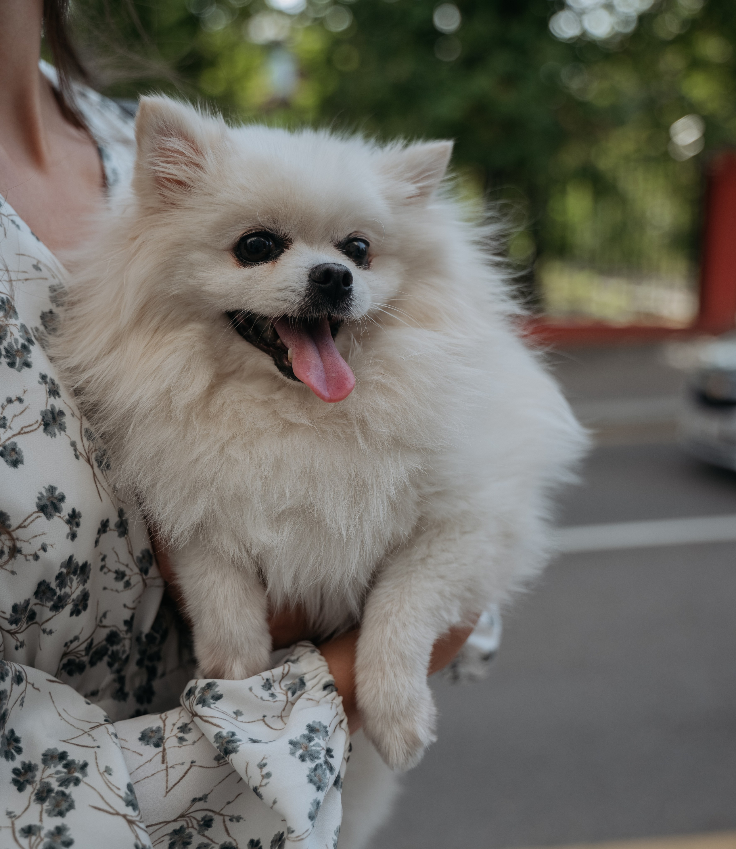 Прогулка к завтраку