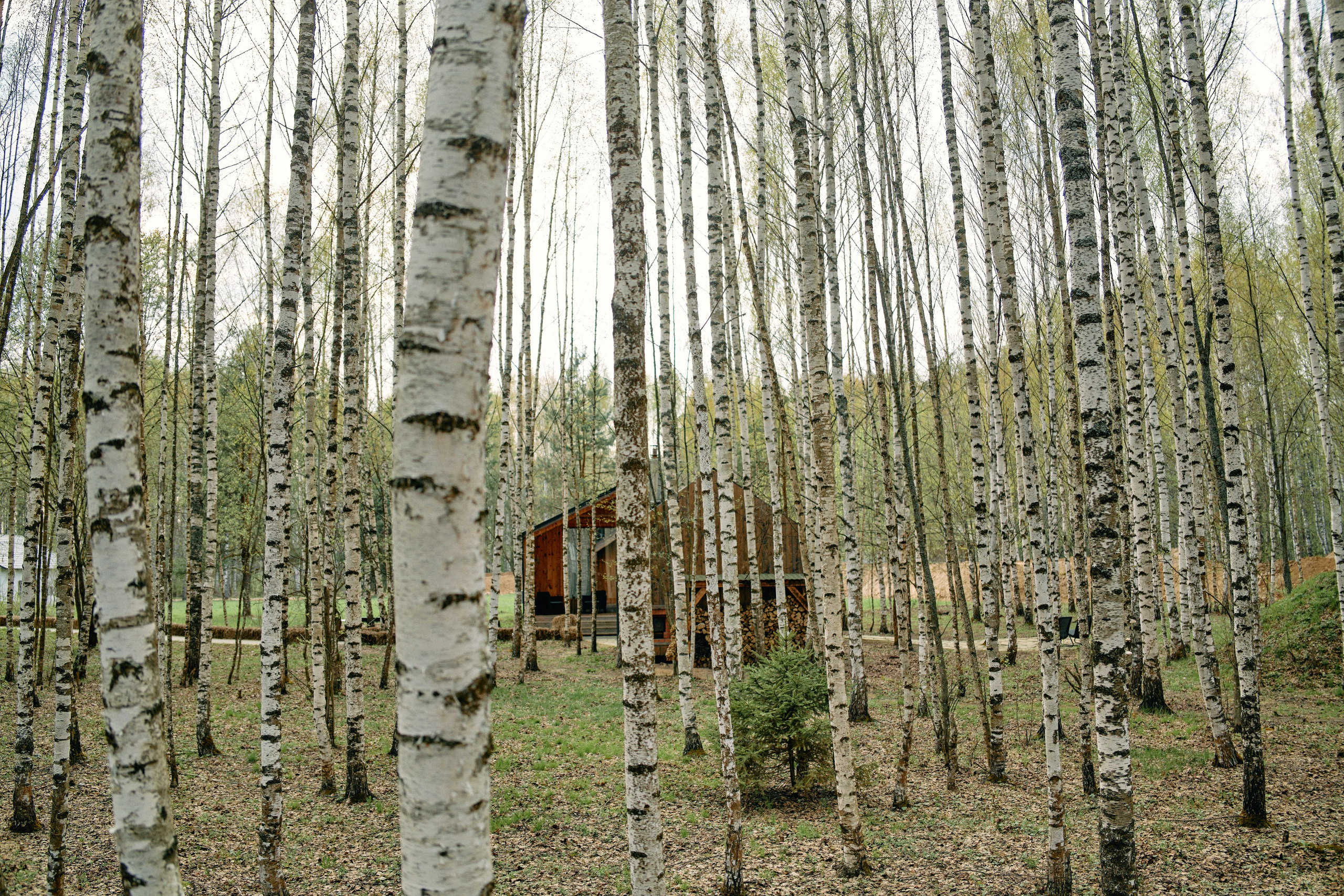 Бутик-отель Поле летом. Профессиональный Фотограф во Владимире, в Москве и в Суздале — Полина Романычева