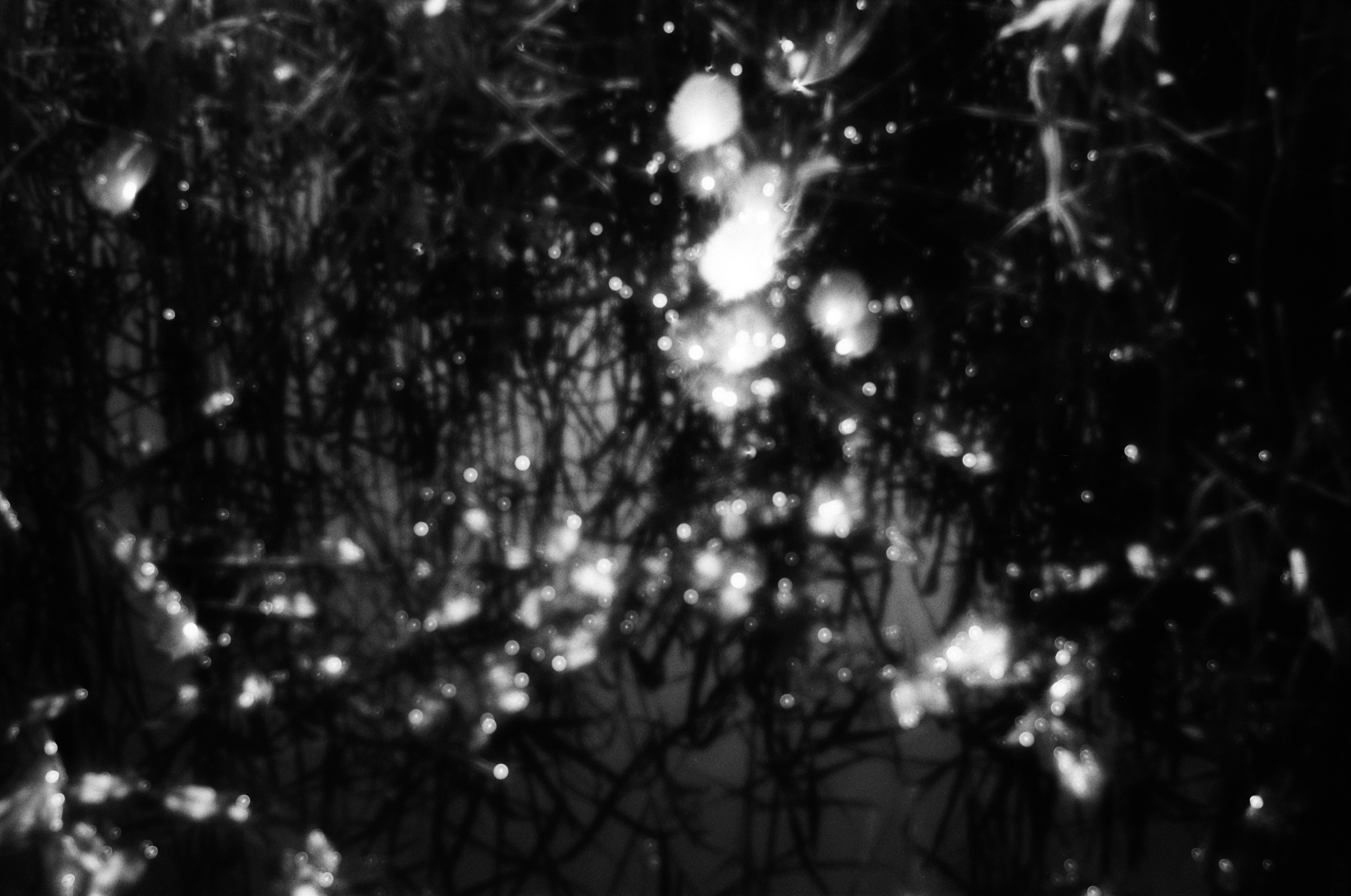 Юля Андрейченко | Отец Сергий. Private image