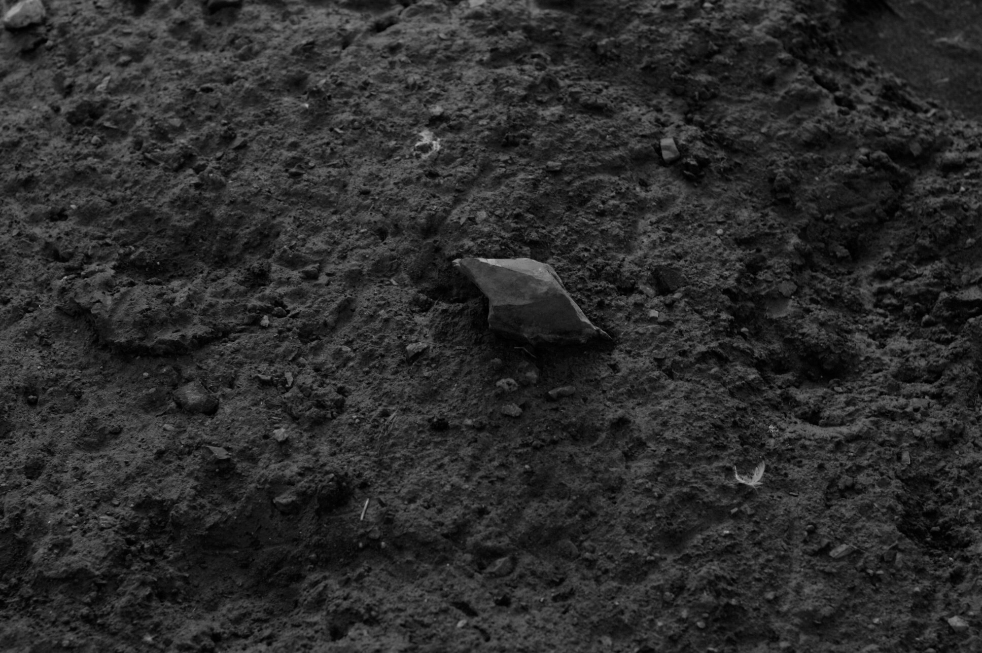 Ainur Qudaibergen | Река. Private image