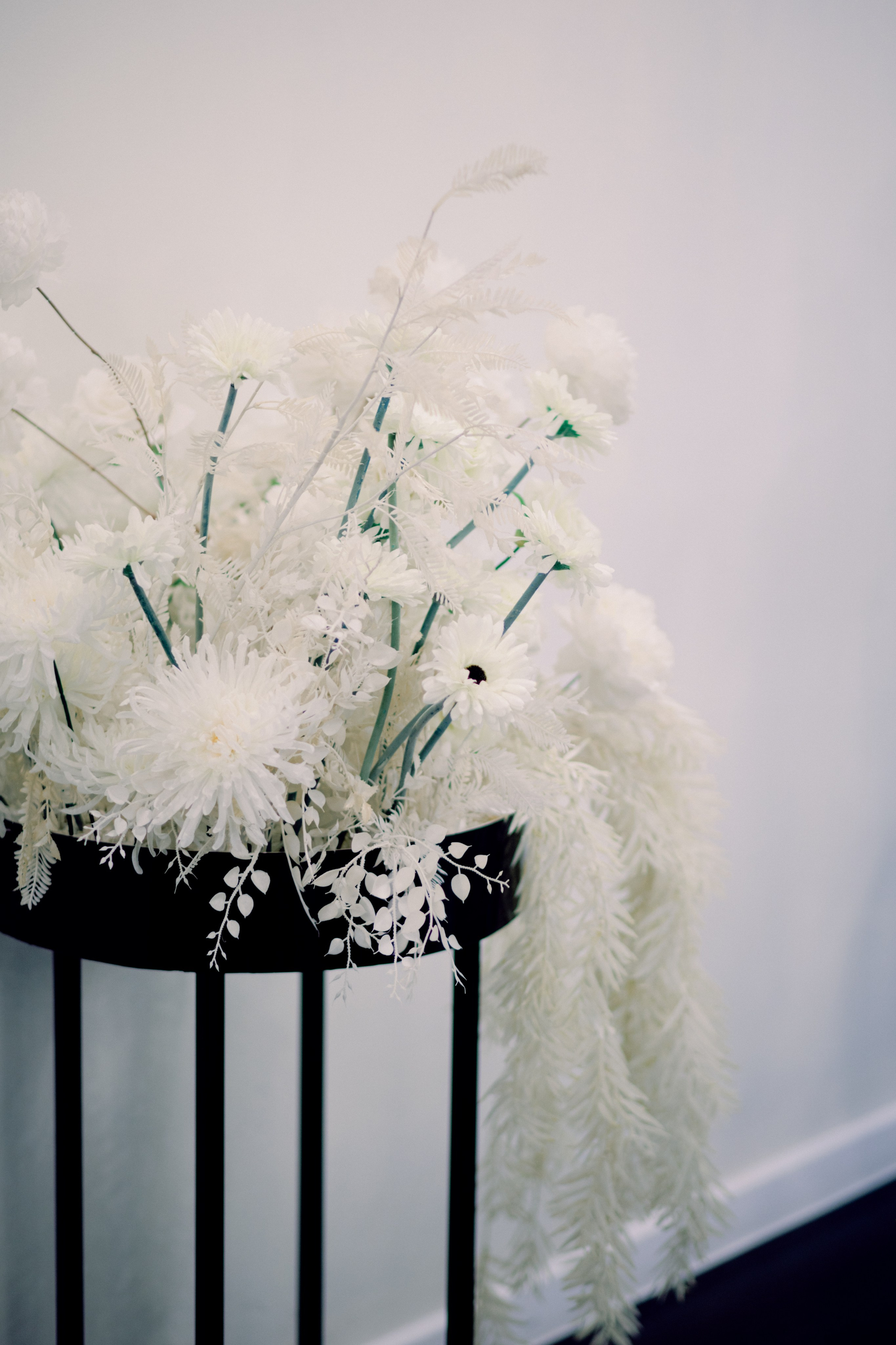 Дмитрий & Ангелина